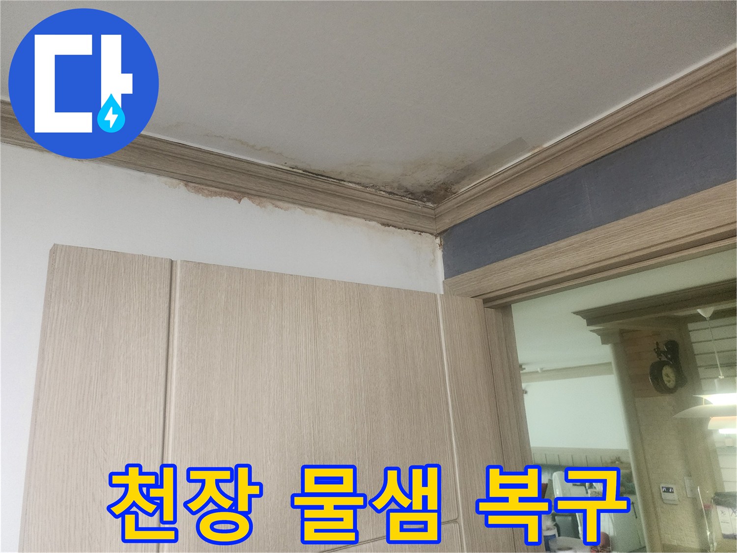 천장-모서리에-발생한-누수-얼룩과-곰팡이-피해를-완벽하게-수리하고-복구해야-합니다.