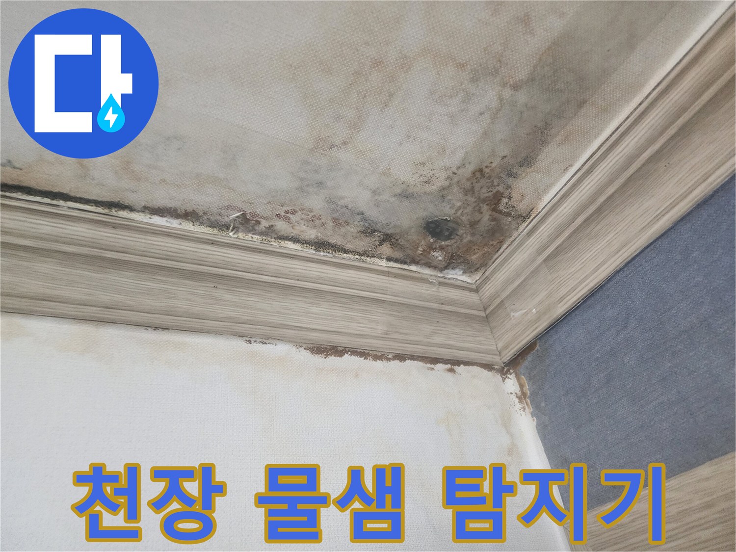 평택 빌라 천장에서 물이 새어-벽지까지 젖은 현장에서-첨단 누수탐지기를 사용하여-원인을 파악하고 있습니다.