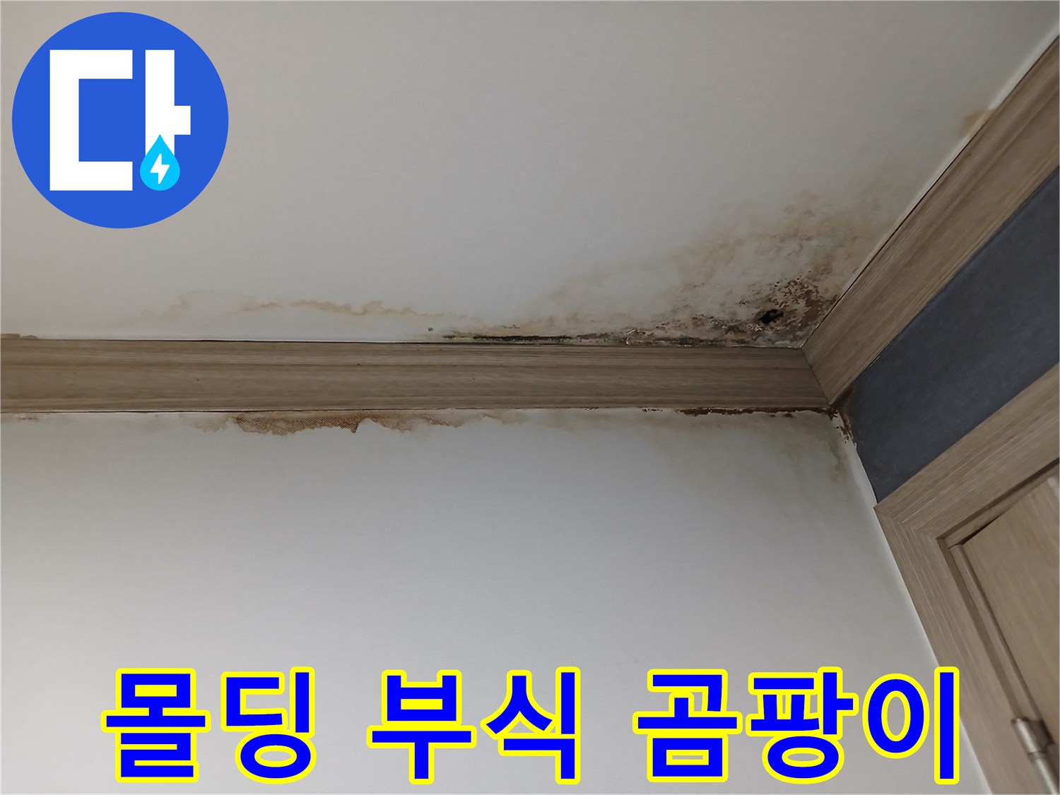 평택 한성아파트-아랫집 천장 몰딩에-발생한-심한 물 얼룩과-곰팡이로 인한-부식 현상