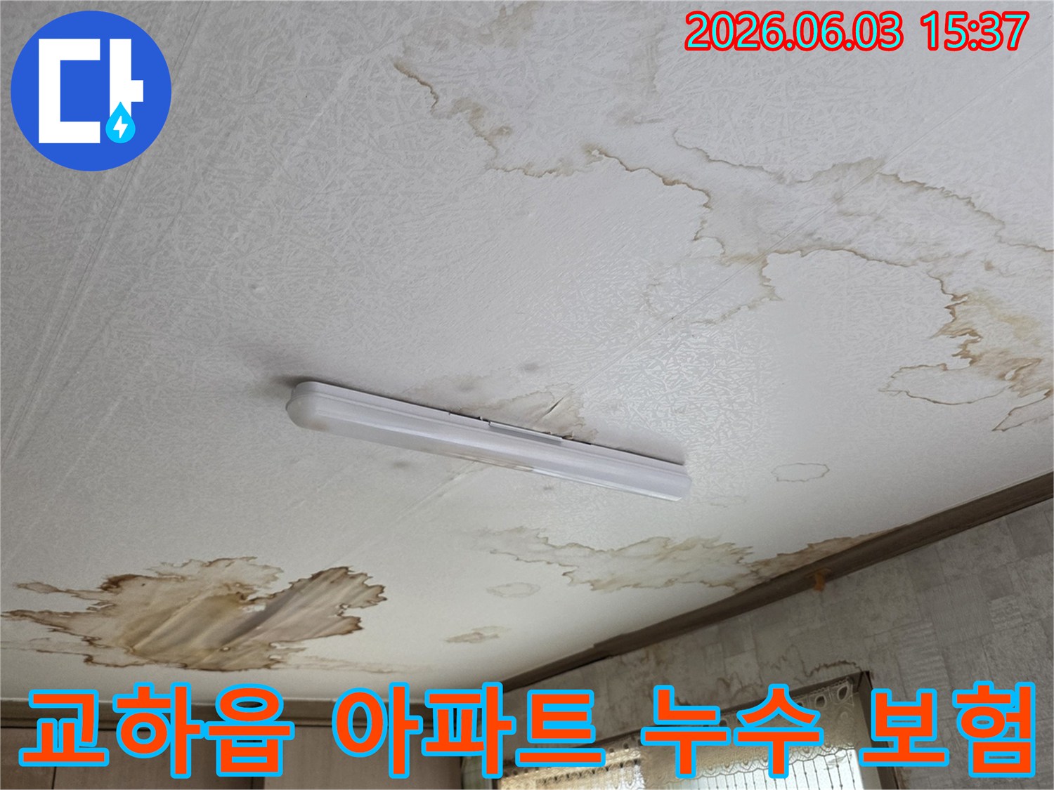 파주 교하읍 아파트-천장 누수로 인한 피해-보험 처리 상담 현장