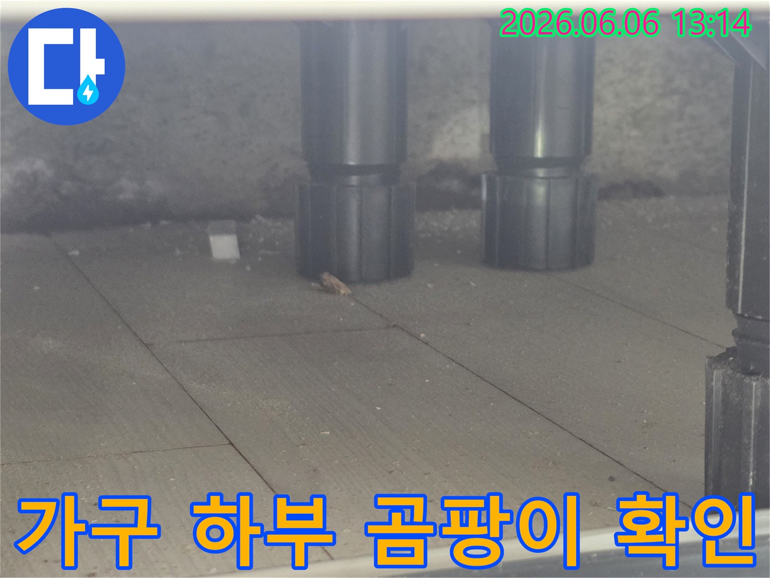 가구 하부에서 발생할 수 있는-곰팡이의 유무를-면밀히 확인하는 모습입니다