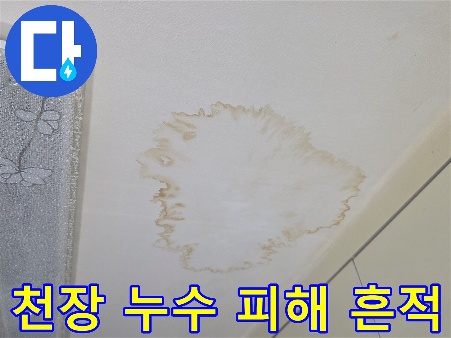 갈색으로 번진 주방 천장의 누수 오염 부위