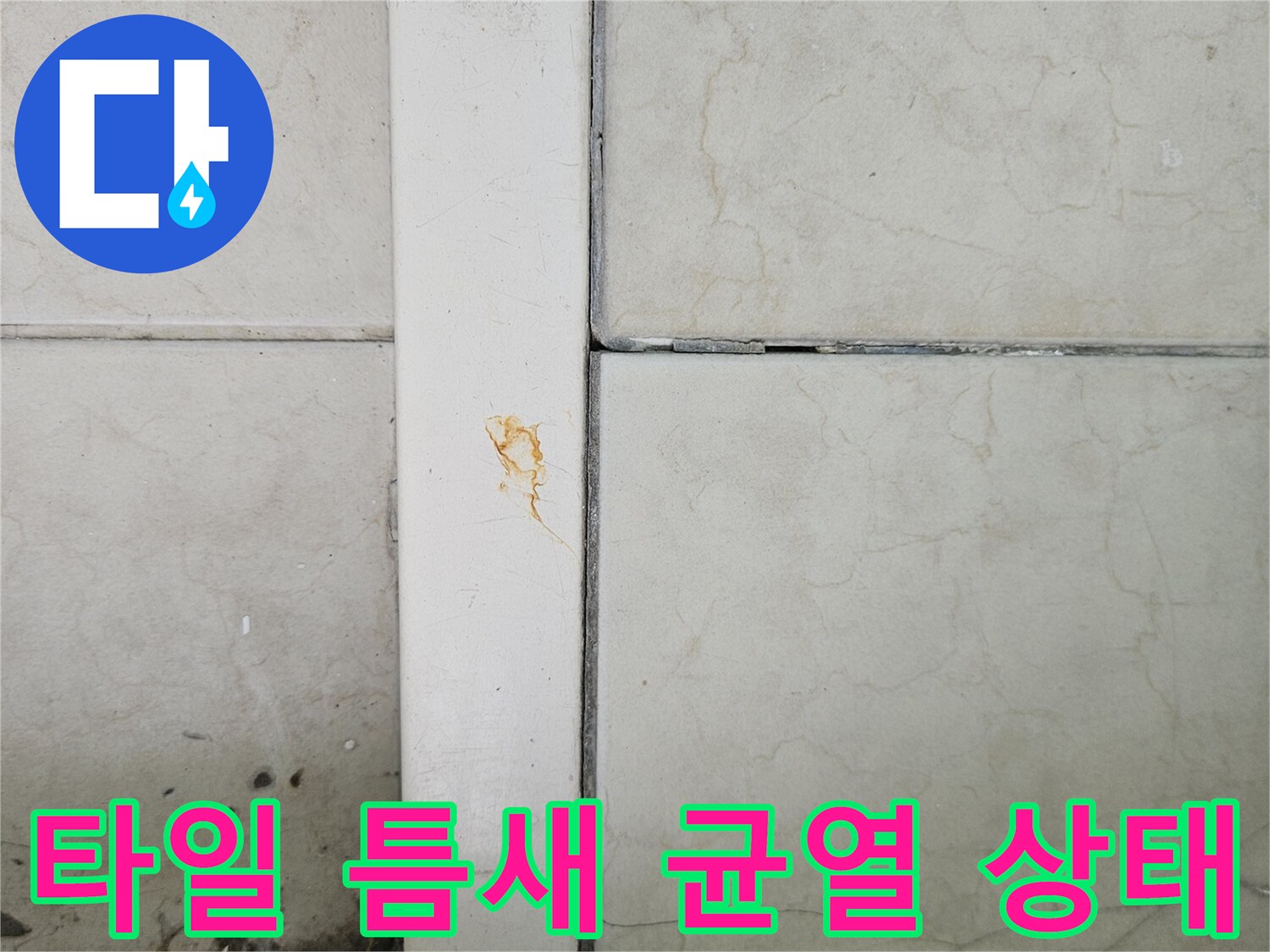 바닥-타일-줄눈-부분의-균열과-습기로-인한-변색-상태
