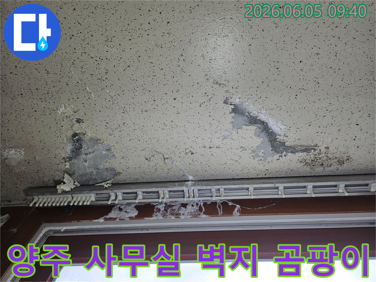 사무실 벽면 도배지가 물에 젖어 들뜨고-검은 곰팡이가 피어난 모습으로-업무 환경에 악영향을 주는 누수 상황을 보여줍니다.