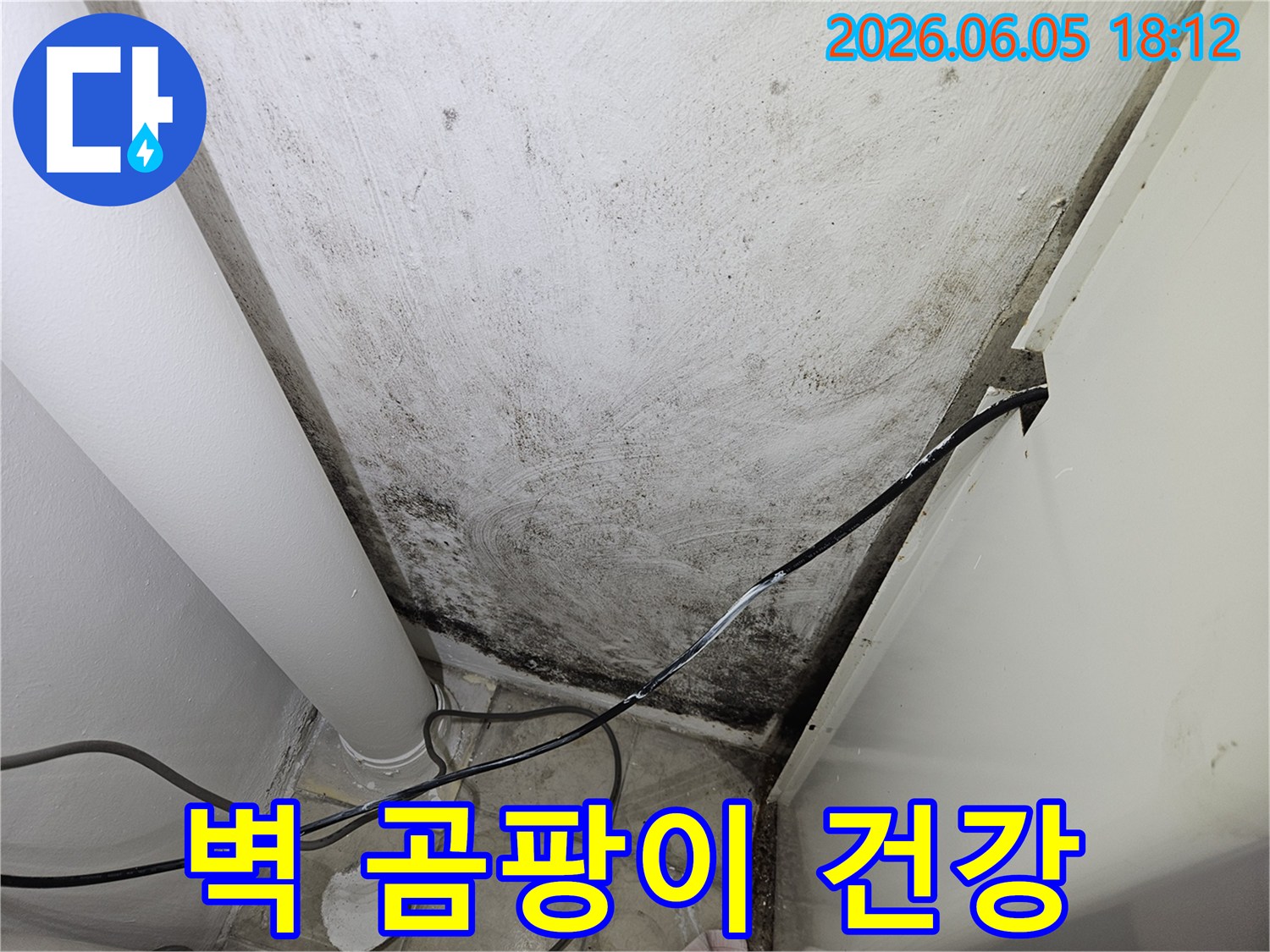 오랜-시간-누수로-인해-벽면에-생성된-유해한-검은색-곰팡이-덩어리