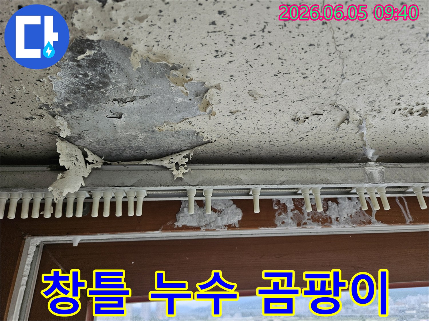 창틀 아래 벽면에서-누수로 인해-페인트가 벗겨지고-곰팡이가 심하게 번식한-사무실 누수 현장