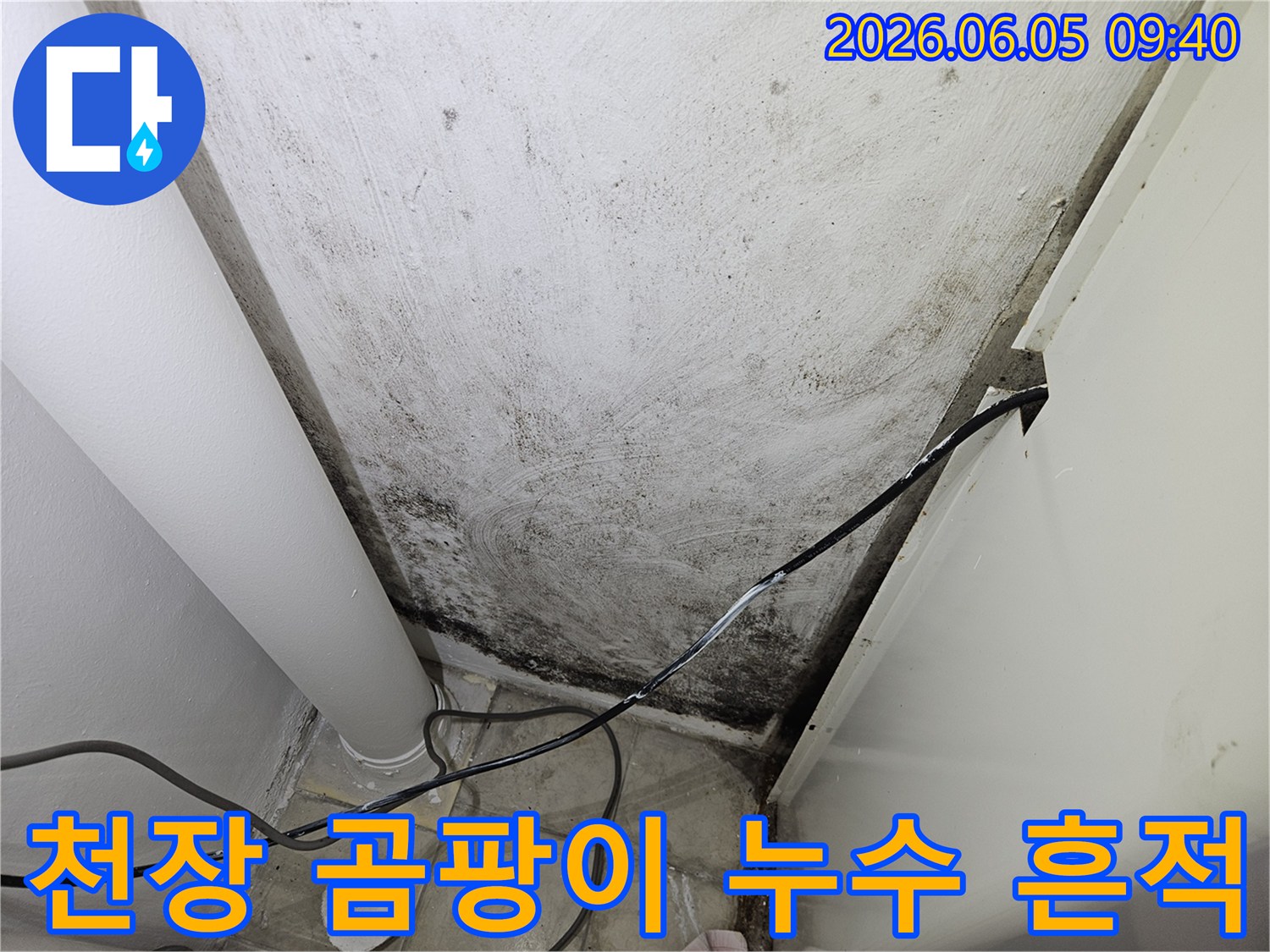 천장-누수로-인해-벽면에-발생한-심각한-곰팡이-오염-현장