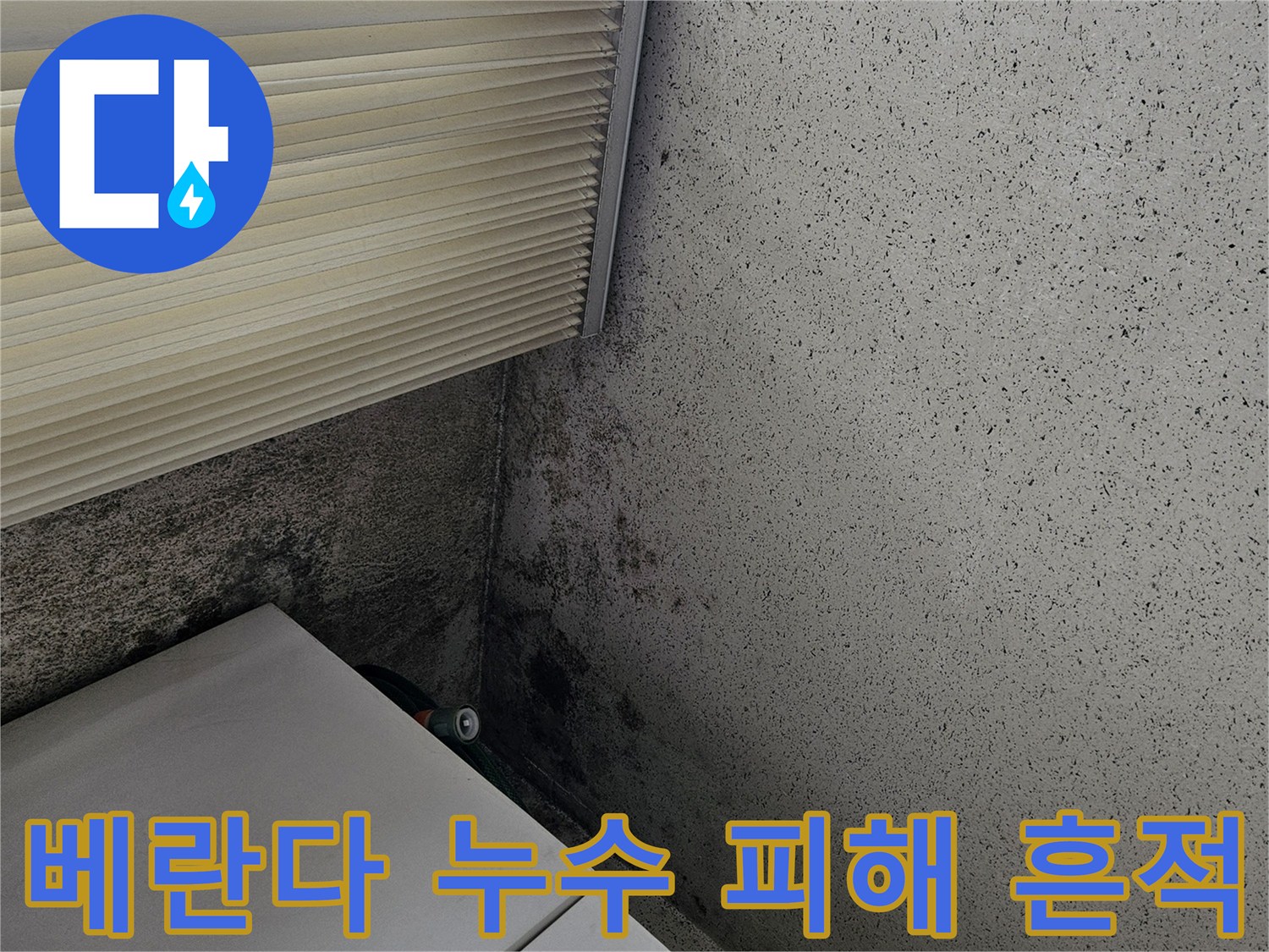 천장 박리와 벽면 곰팡이가 동반된 베란다 현장