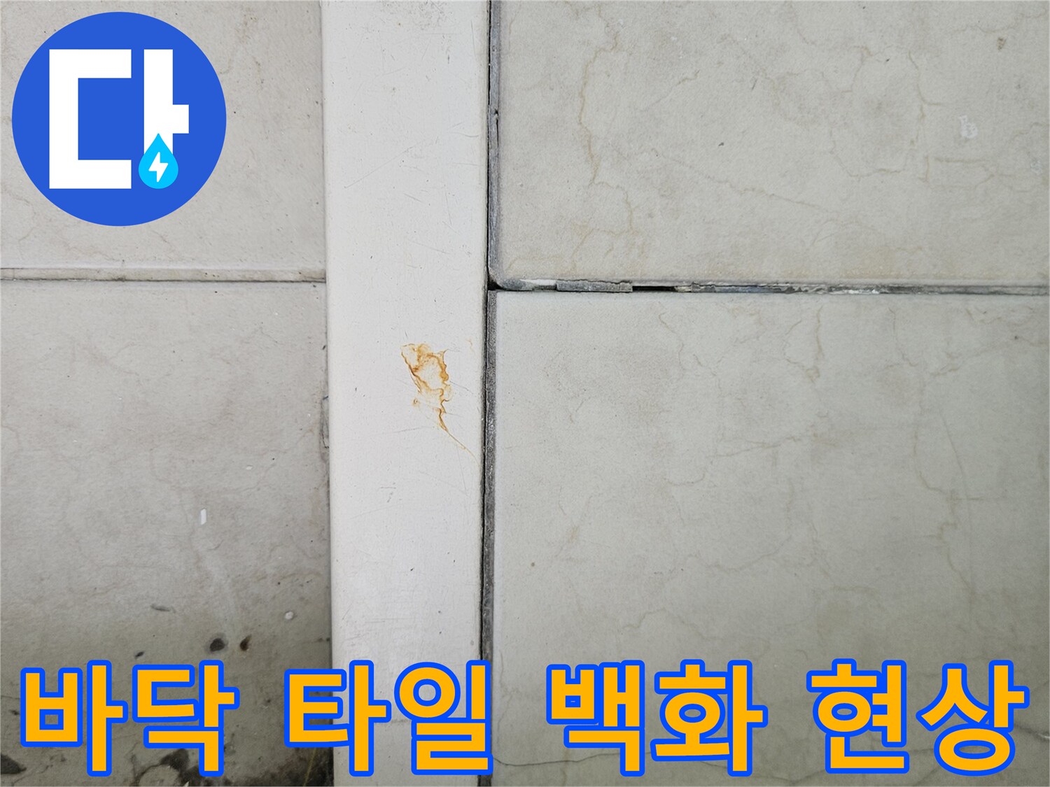 타일-표면의-하얀색-백화물질과-균열된-줄눈-모습