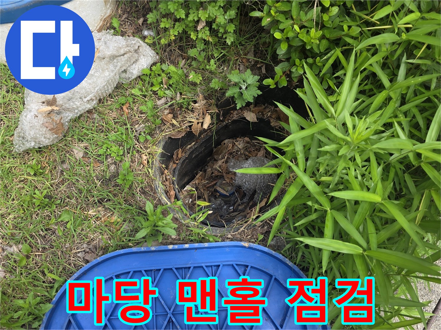 용인 기흥구 전원주택 마당의 외부 점검구 주변 상태를 확인하는 모습입니다.