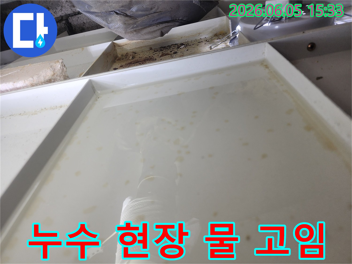 누수 발생으로 인해 물이 고인 현장-정밀 탐지를 위한 초기 단계