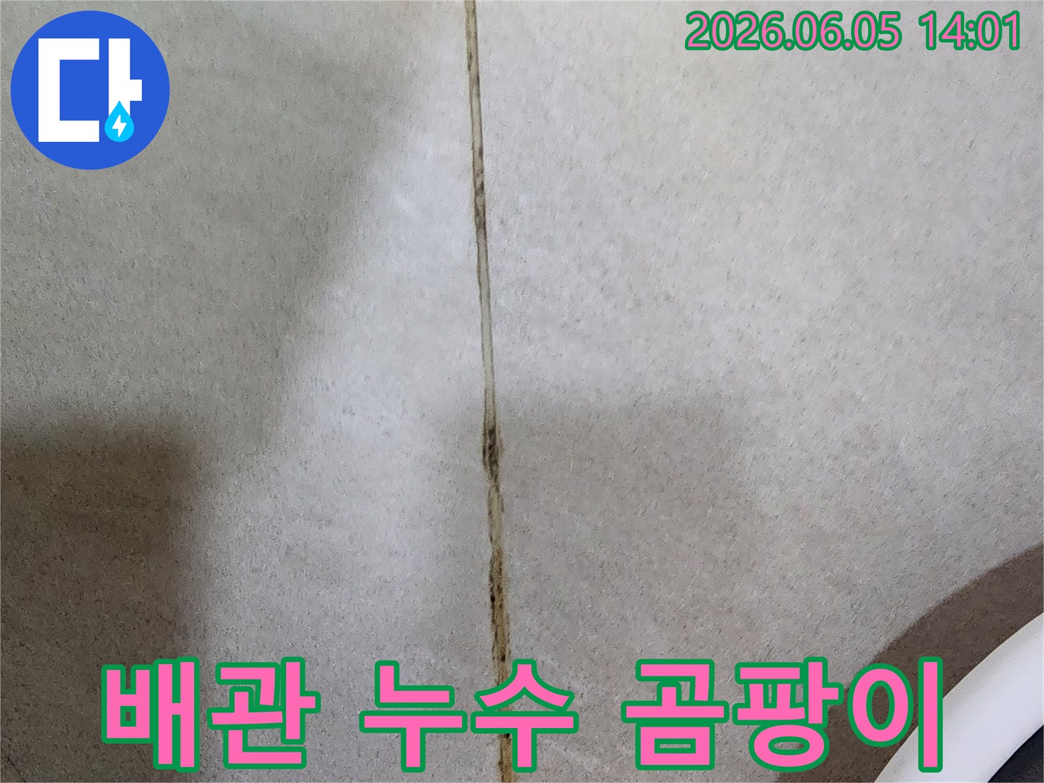 고객님-댁-욕실-바닥-타일-줄눈에-발생한-곰팡이와-습기-흔적을-정밀-진단하는-사진
