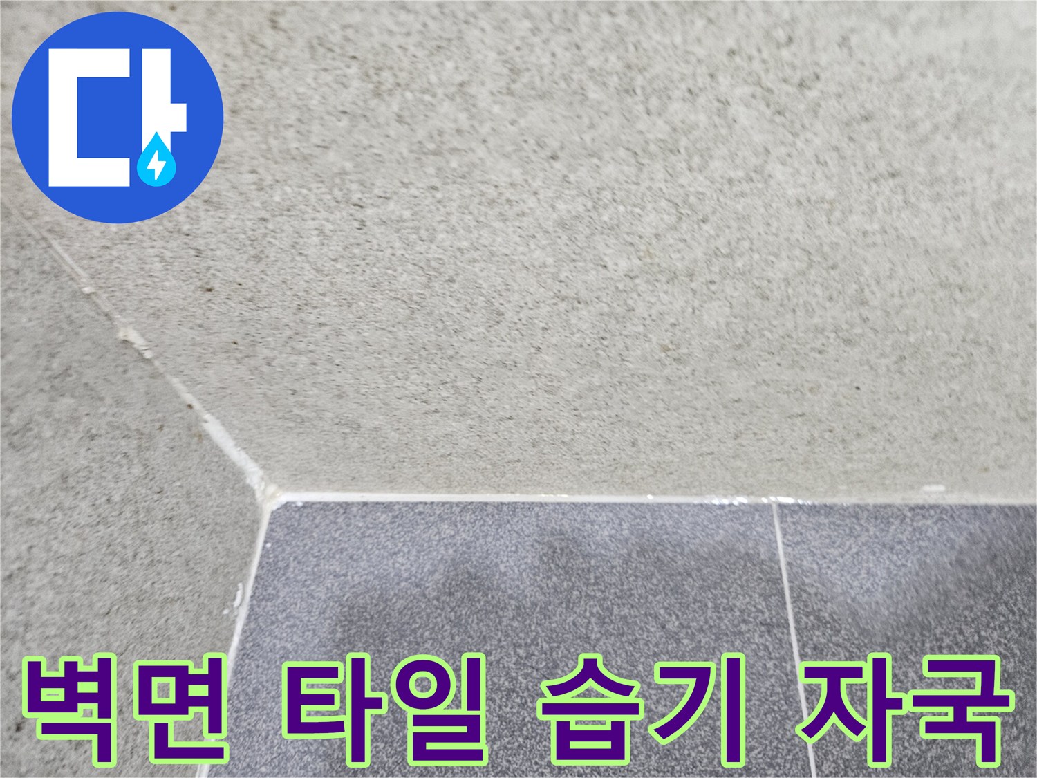 화장실 내부-물샘으로 인한 타일 변색 상태