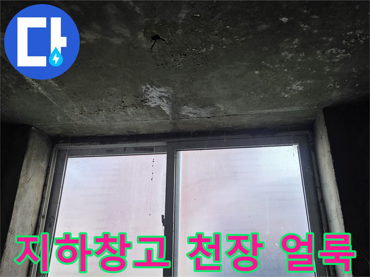 포천-지하-창고-천장-슬래브-누수-흔적-및-곰팡이
