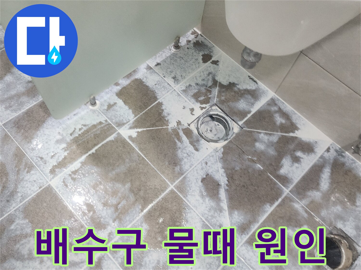 고양시 일산 지역-욕실 배수구 주변에-하얗게 낀 물때를 제거하며-누수 원인을 파악하는-공사 현장 사진