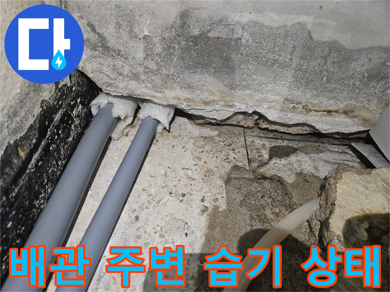 샤워실 배관 주변에 물이 고여 있는 모습