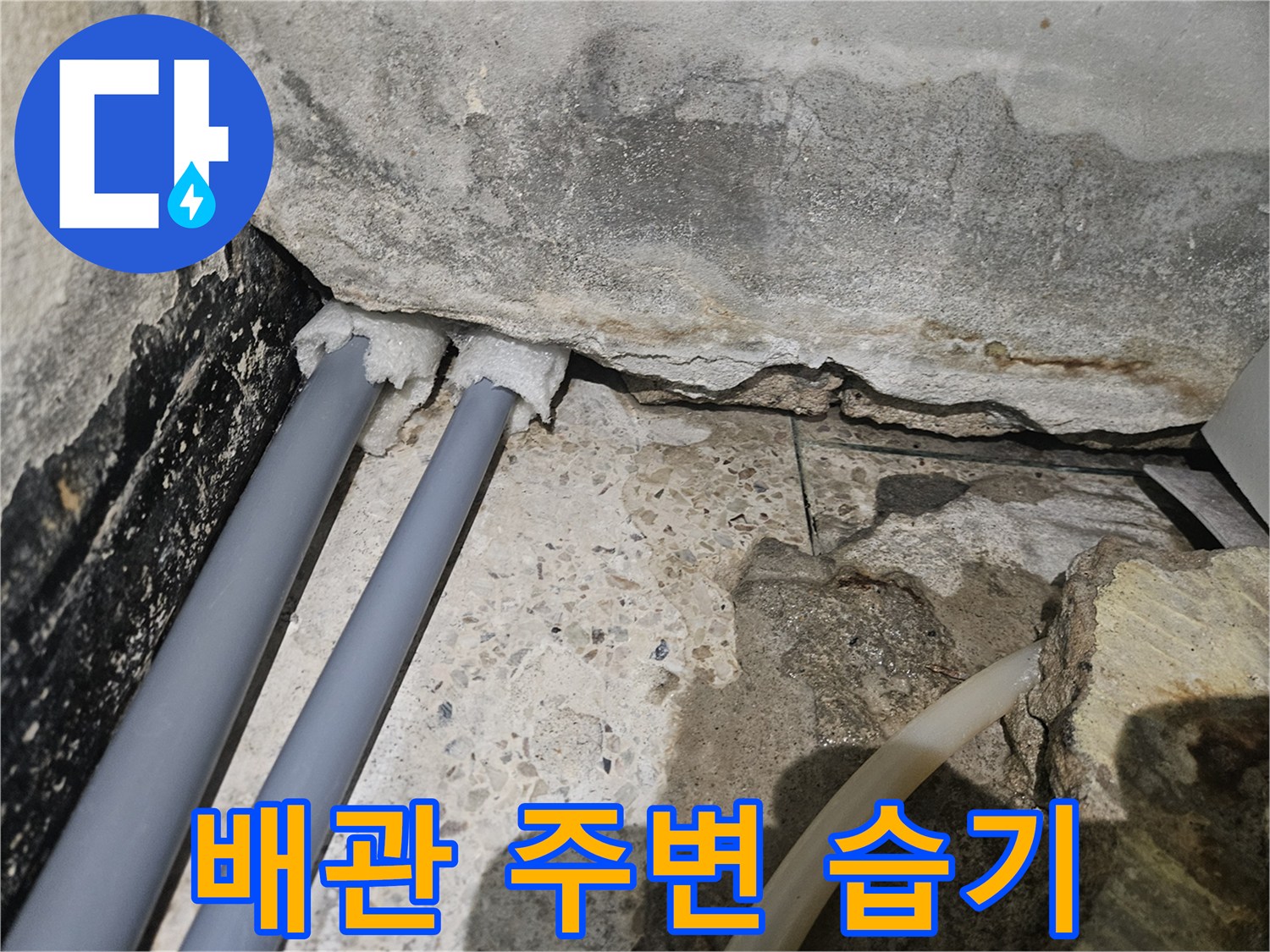 타일-하단-배관-주변-습기-및-침투-흔적