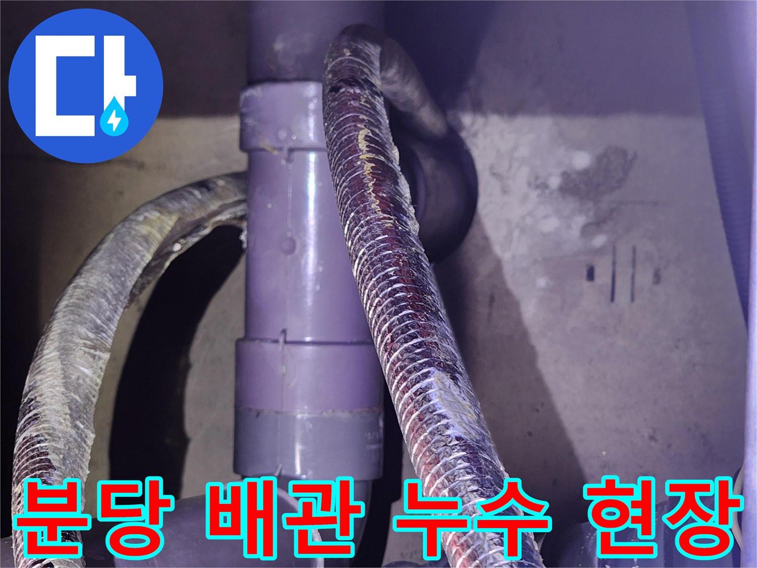 분당-정자동-화장실-배관-연결-부위-점검-사진