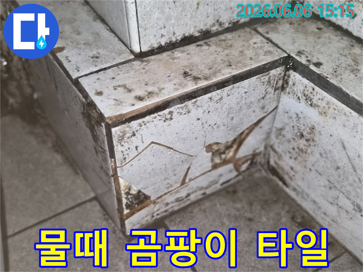 물때와 곰팡이로-심하게 오염된 타일의-파손 부위를 중심으로-누수 흔적을 보여주는 이미지