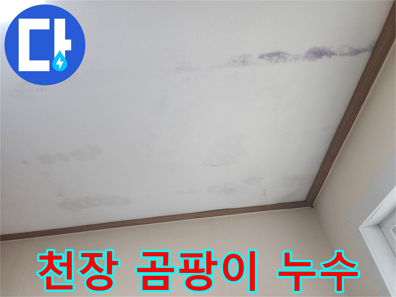 누수로 인해-천장에 생긴-곰팡이와-얼룩을 보여주는-피해 현장 사진