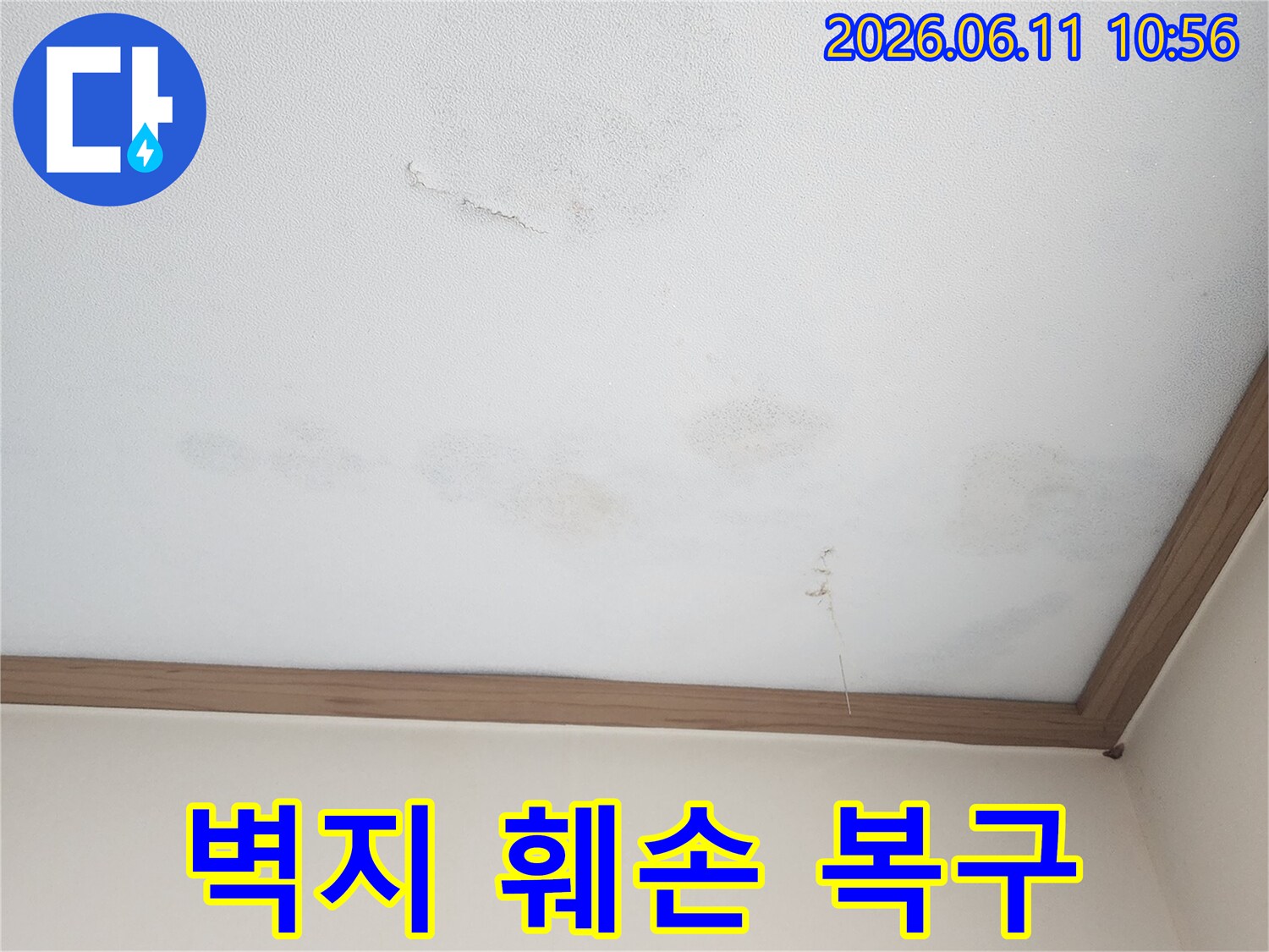 물에 젖어 찢어지고-변색된 벽지의-긴급 복구가 필요한 현장입니다