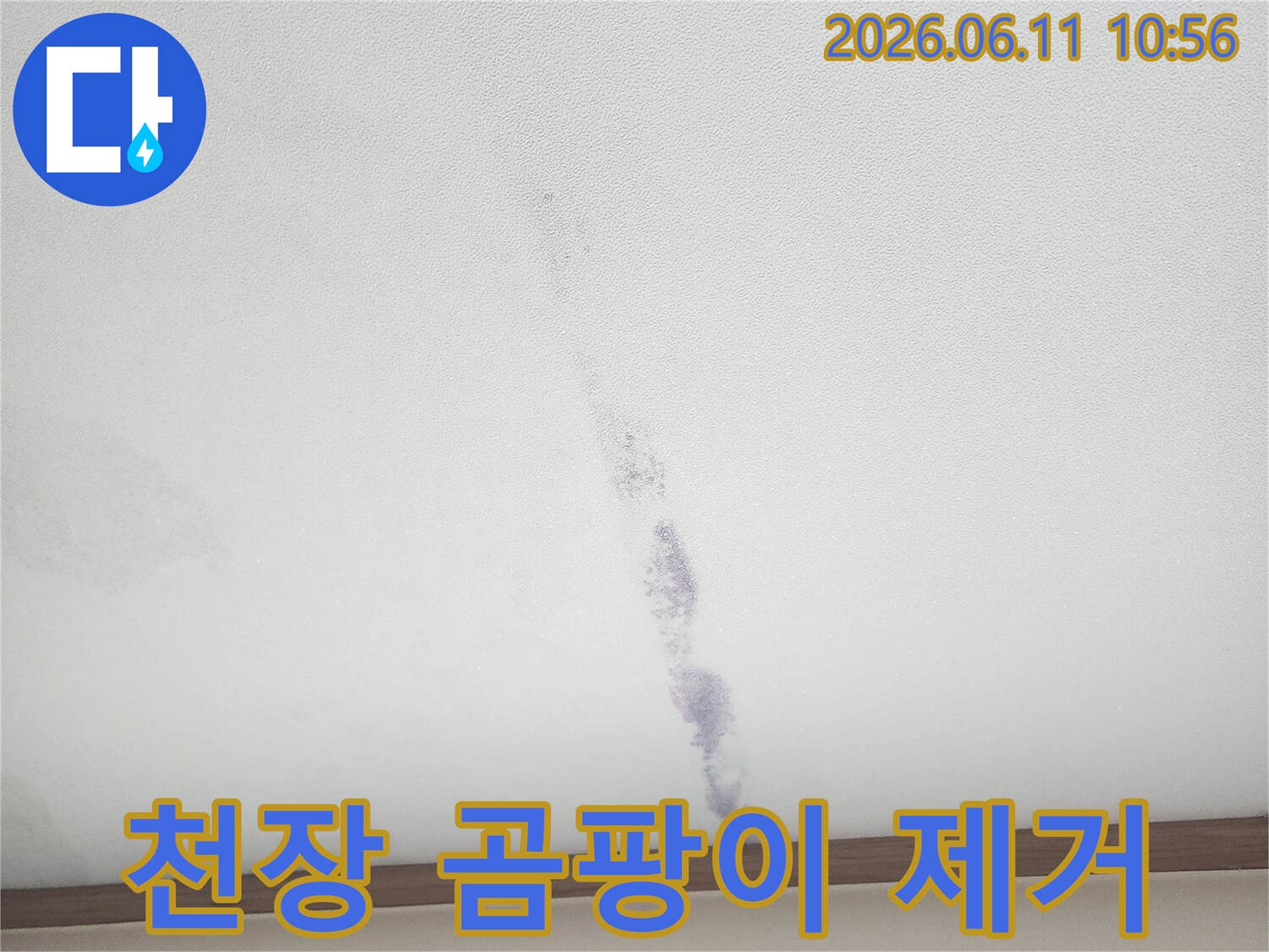 천장에 생긴-보라색 곰팡이는-누수로 인한-습기 때문에-발생하며-제거 및 방수가-필요합니다.