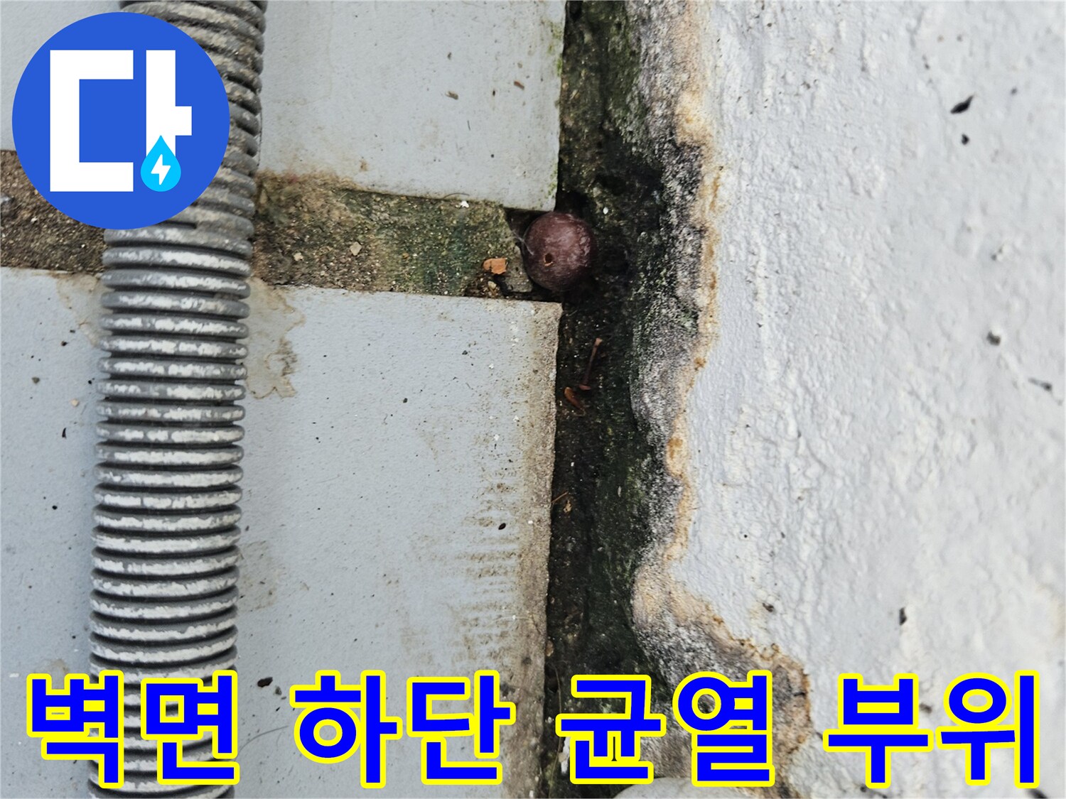 물샘이 의심되는 벽체와 바닥의 경계 지점