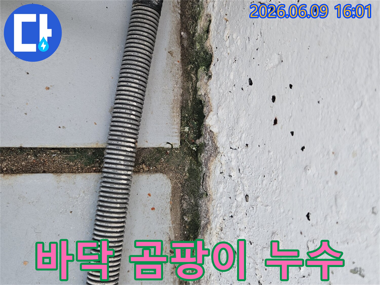 벽면 하단에 짙게 발생한 곰팡이와- 물기로 인해 손상된 벽- 그리고 유연한 배관이 보이는 현장 사진입니다