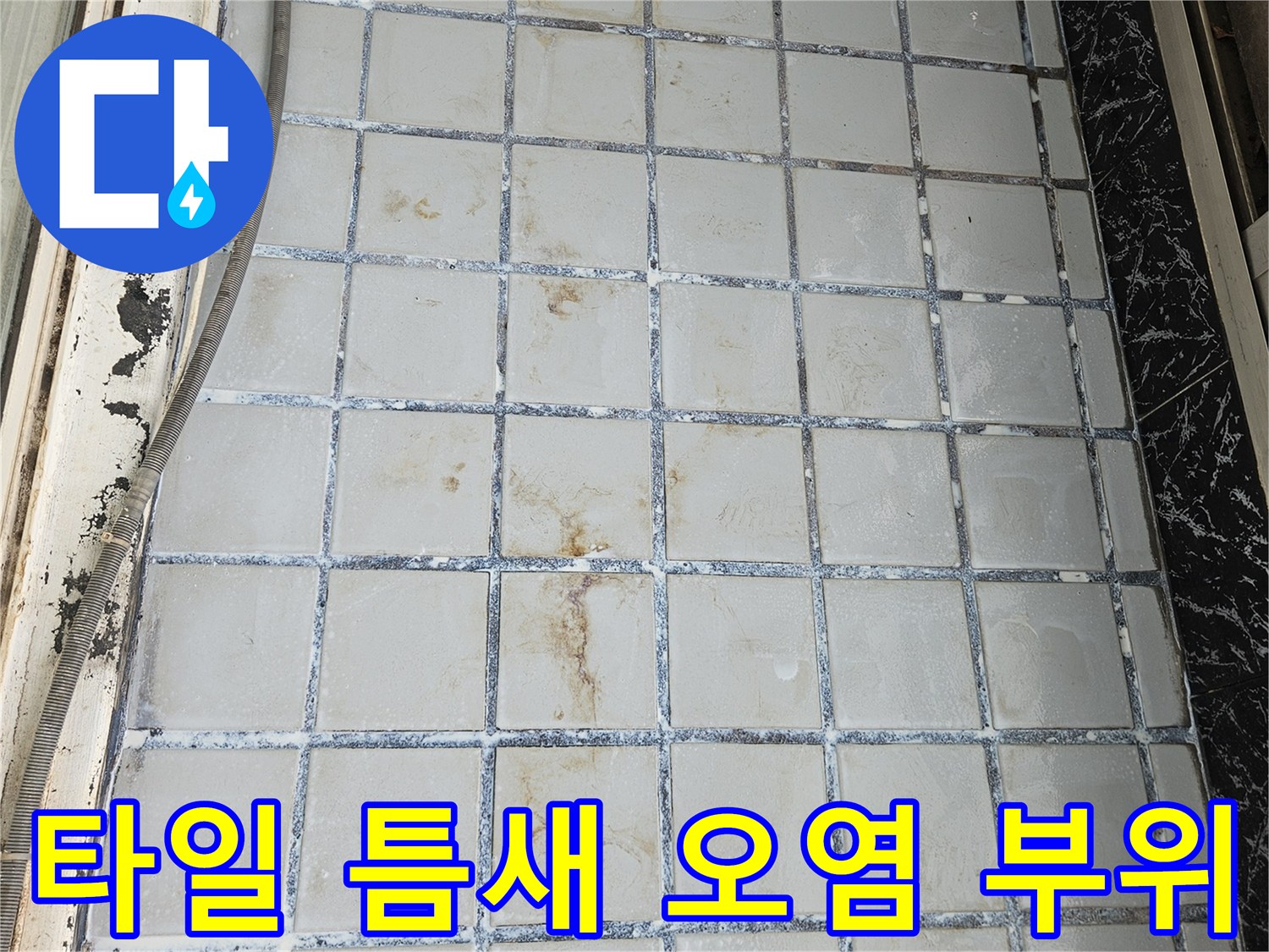 의정부 호원동-물기가 스며든 타일 틈새와 변색된 메지