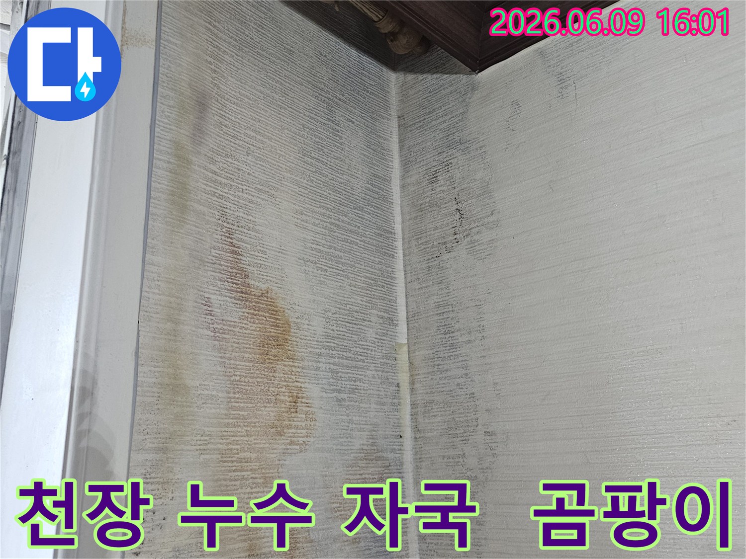 천장 모서리에-누수로 인한-물 자국과-곰팡이가-선명하게 보이는-현장 사진입니다
