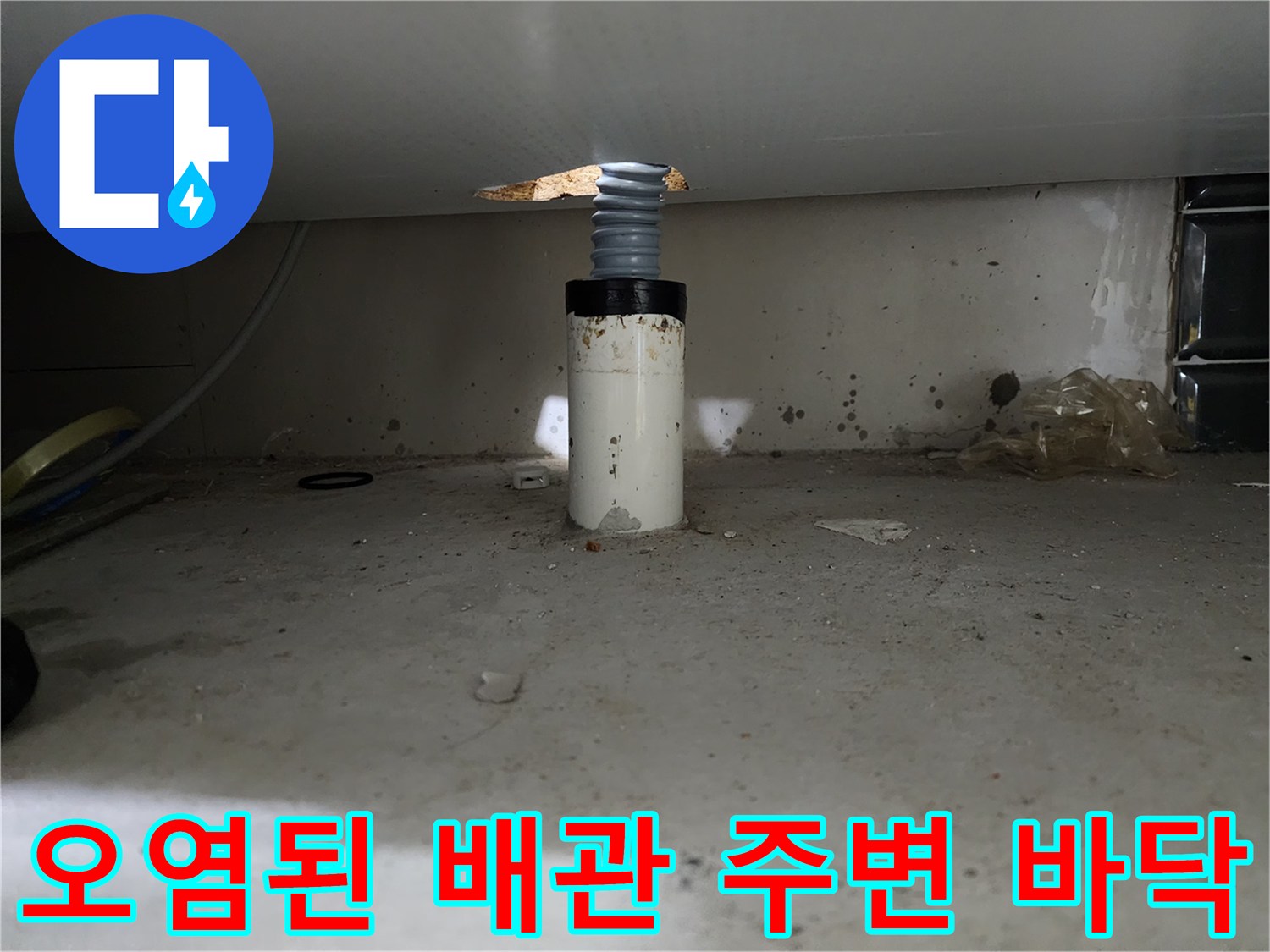신정동 현장-역류 흔적이 남은 싱크대 하부 배관 구조
