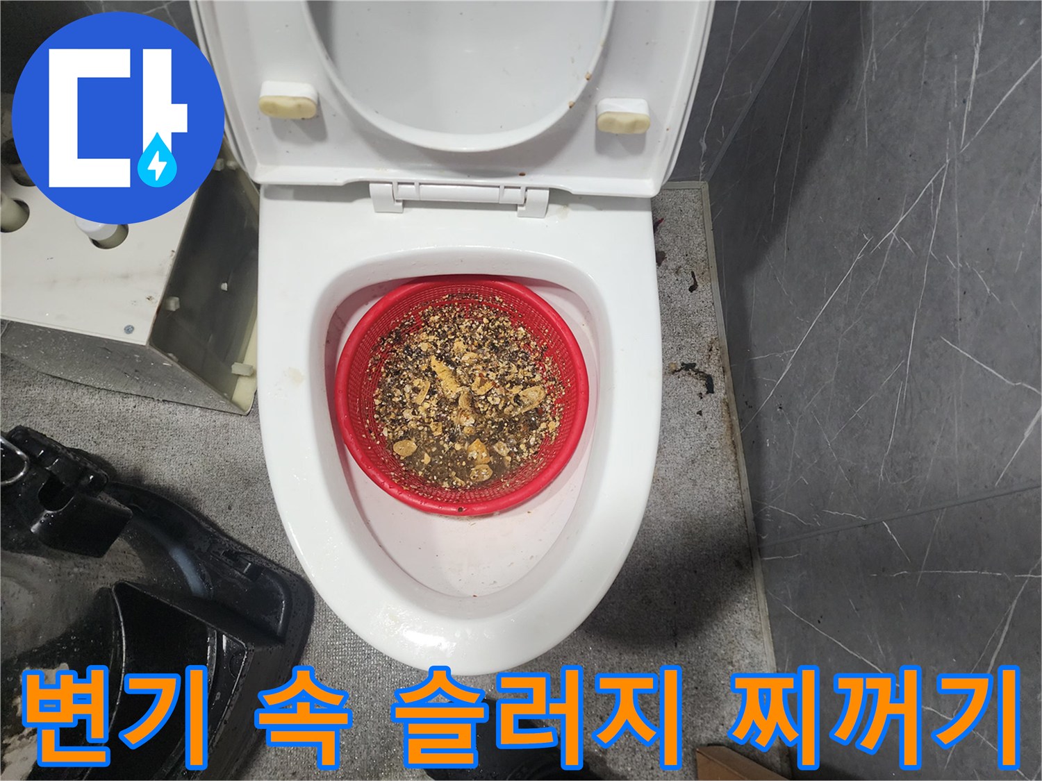 화장실 변기 내부의 빨간 거름망에 모여 있는 분쇄된 슬러지 덩어리들
