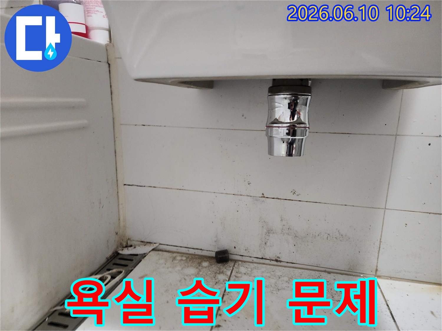 욕실 세면대 하부와 바닥 타일에 나타난 심한 곰팡이와 오염-높은 습도와 누수 가능성