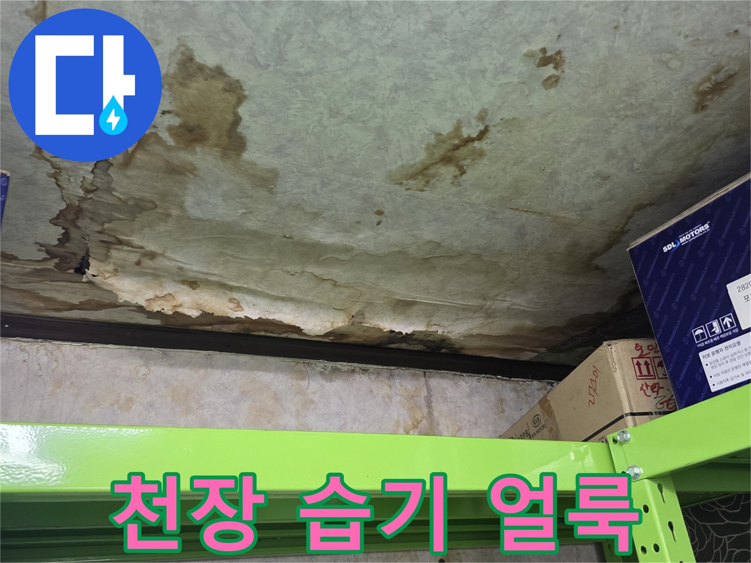 축축하게 젖어 있는 천장 마감재 부위 - 누수 피해 상태 기록
