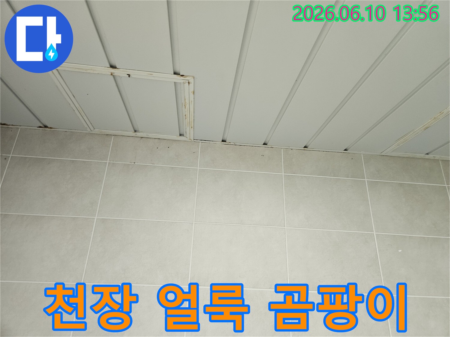 가평 맹호아파트 천장 점검구 주변에 누수로 인한 심한 얼룩과 곰팡이가 발생한 모습입니다-이는 누수 피해의 명확한 증거입니다