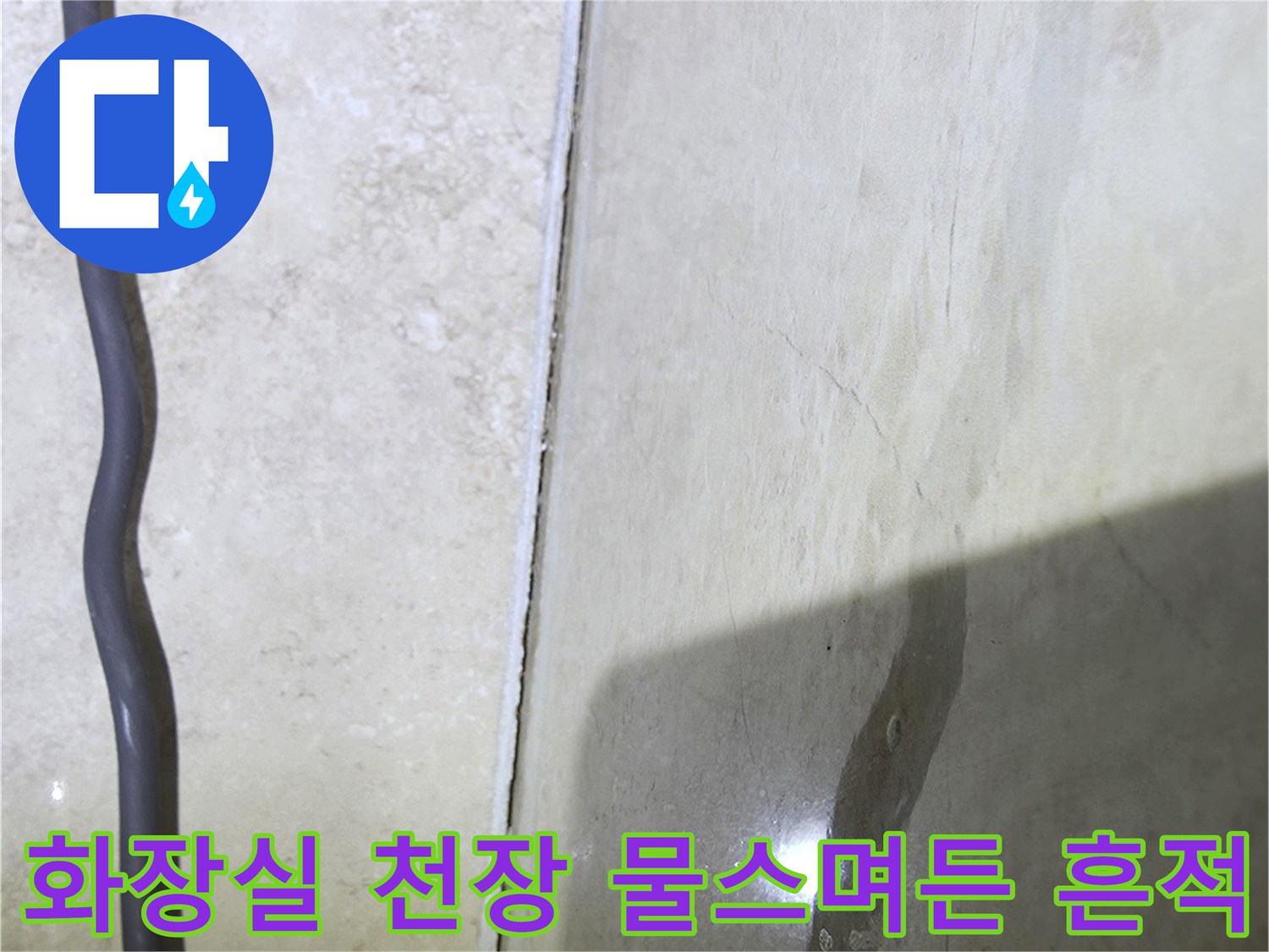 안양 비산동 아파트-화장실 천장 콘크리트 슬래브의 습기 및 변색 부위