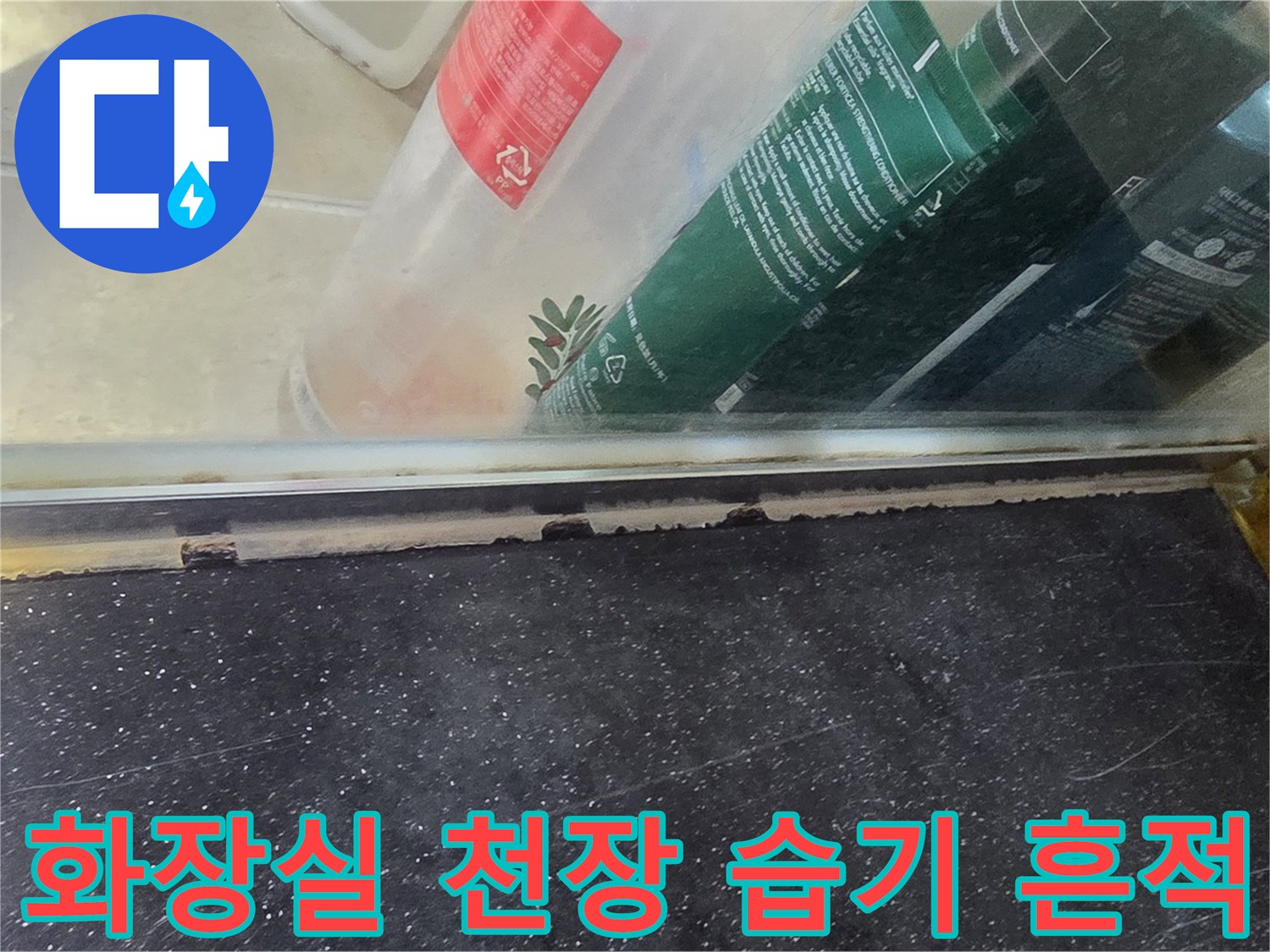 안양 비산동 현장-화장실 천장 내부의 물기 맺힌 모습