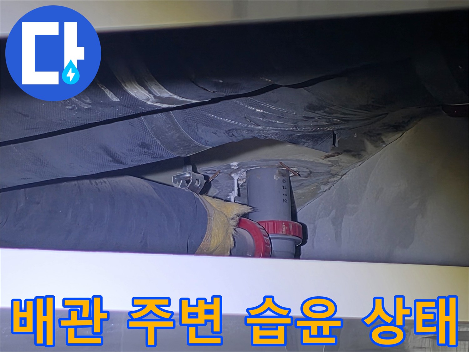 천장-내부-배관-주변의-습기-및-오염-현황