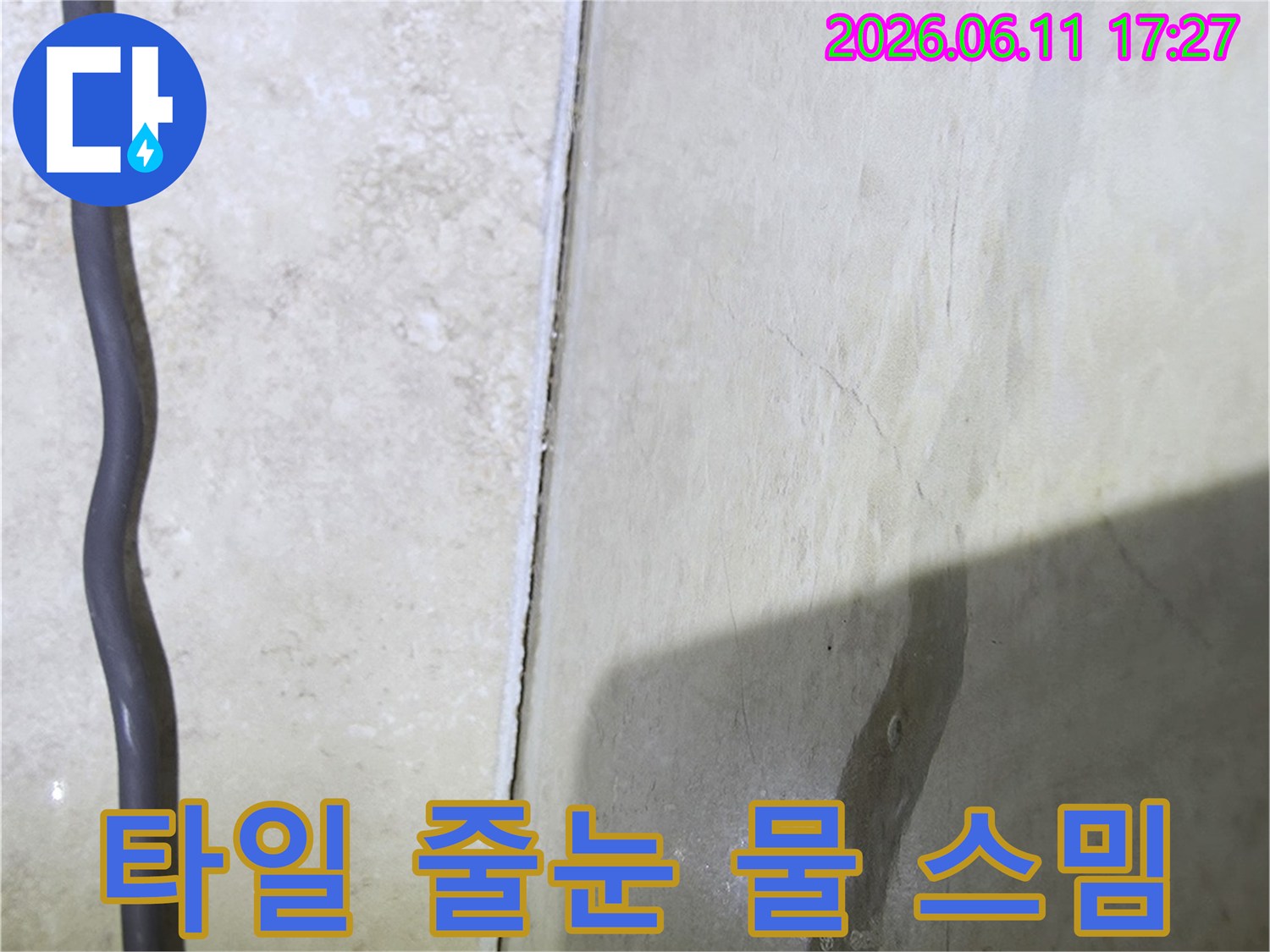 타일 사이 줄눈에 스며든 물-누수 의심 현장 증거