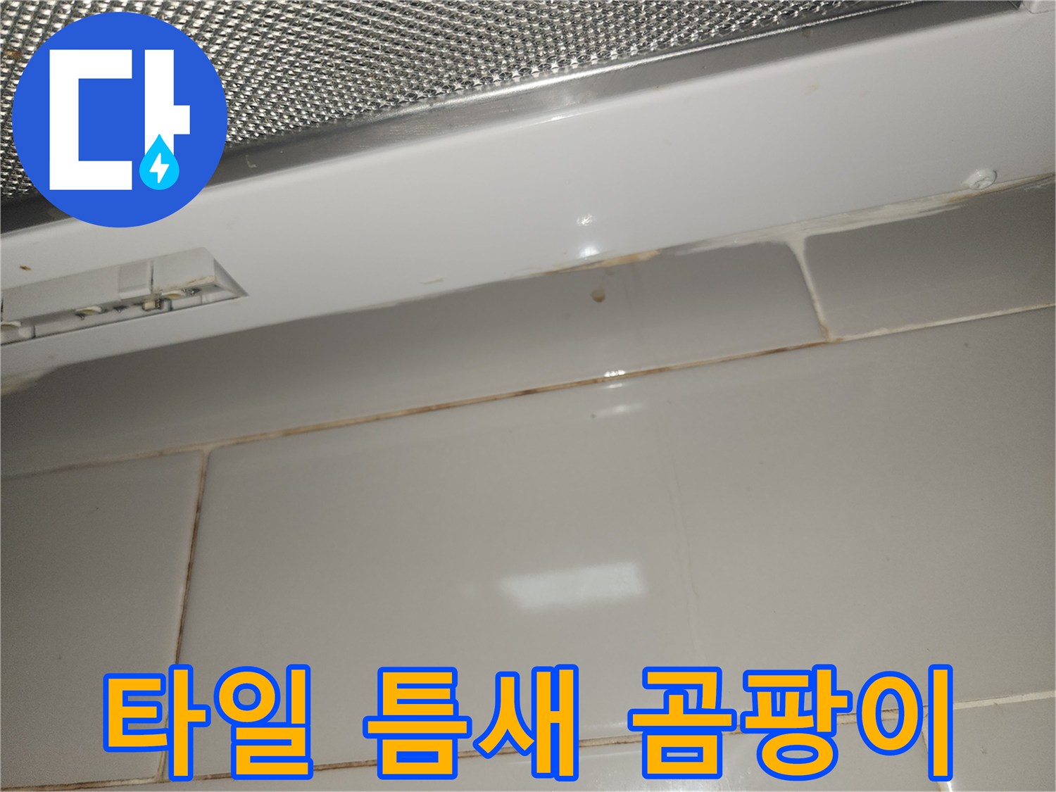 아파트-주방-후드-아래-타일-틈새에-생긴-누수-곰팡이-사진
