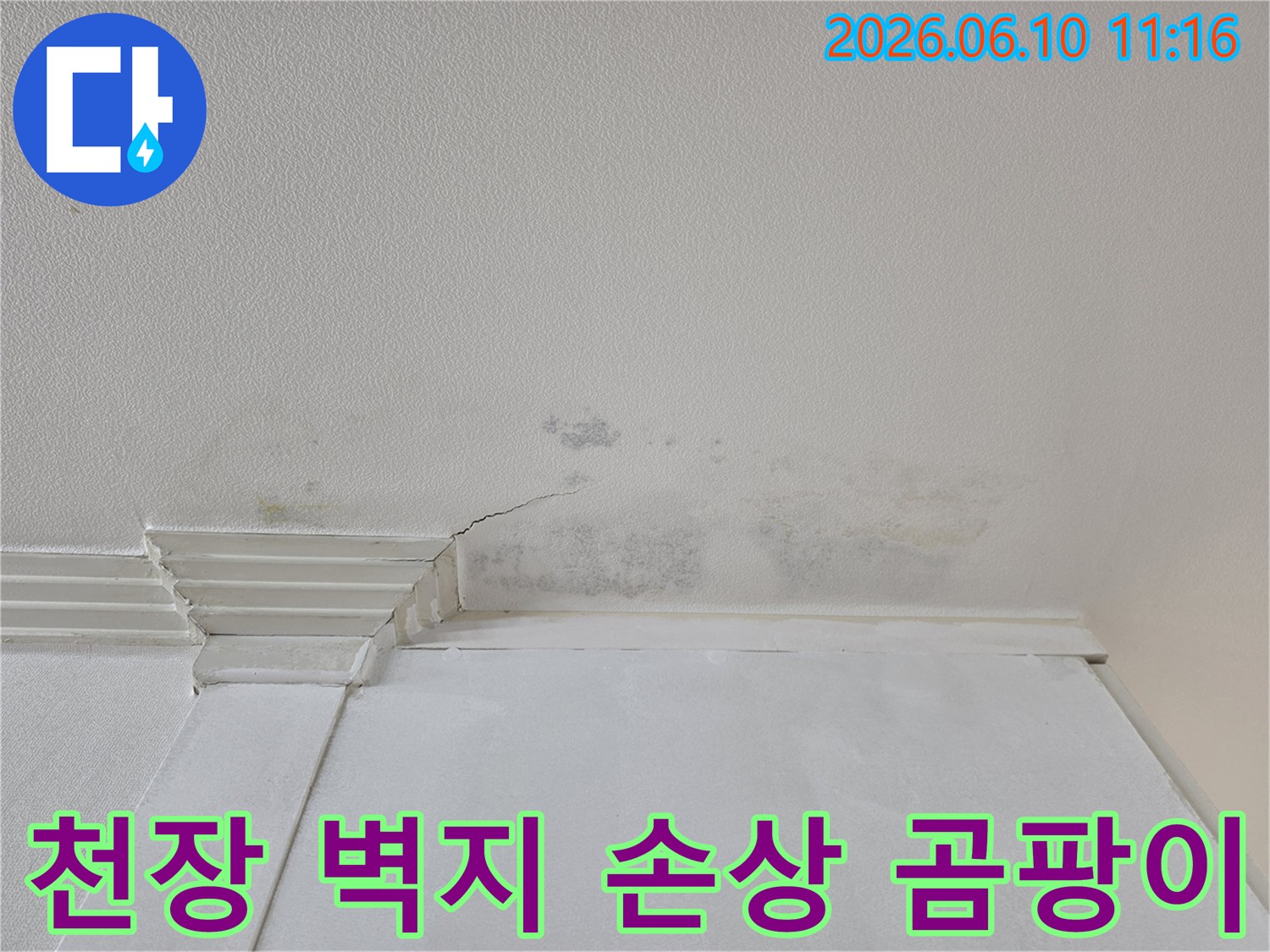 천장 벽지에-누수로-인한-얼룩과-곰팡이가-심하게-발생하여-손상된-모습입니다