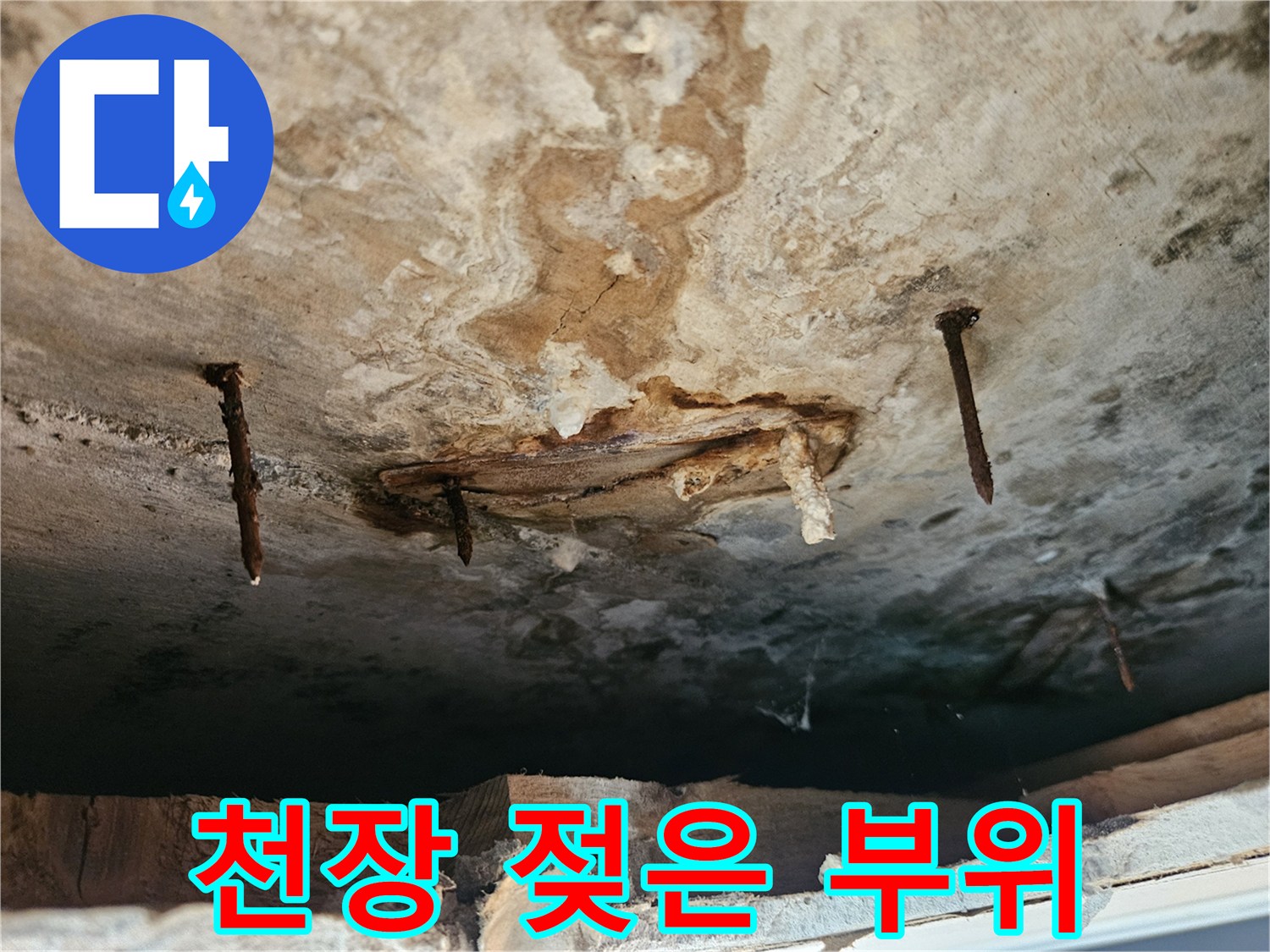 누수로-인한-천장-마감재-부식-및-곰팡이-상태-사진