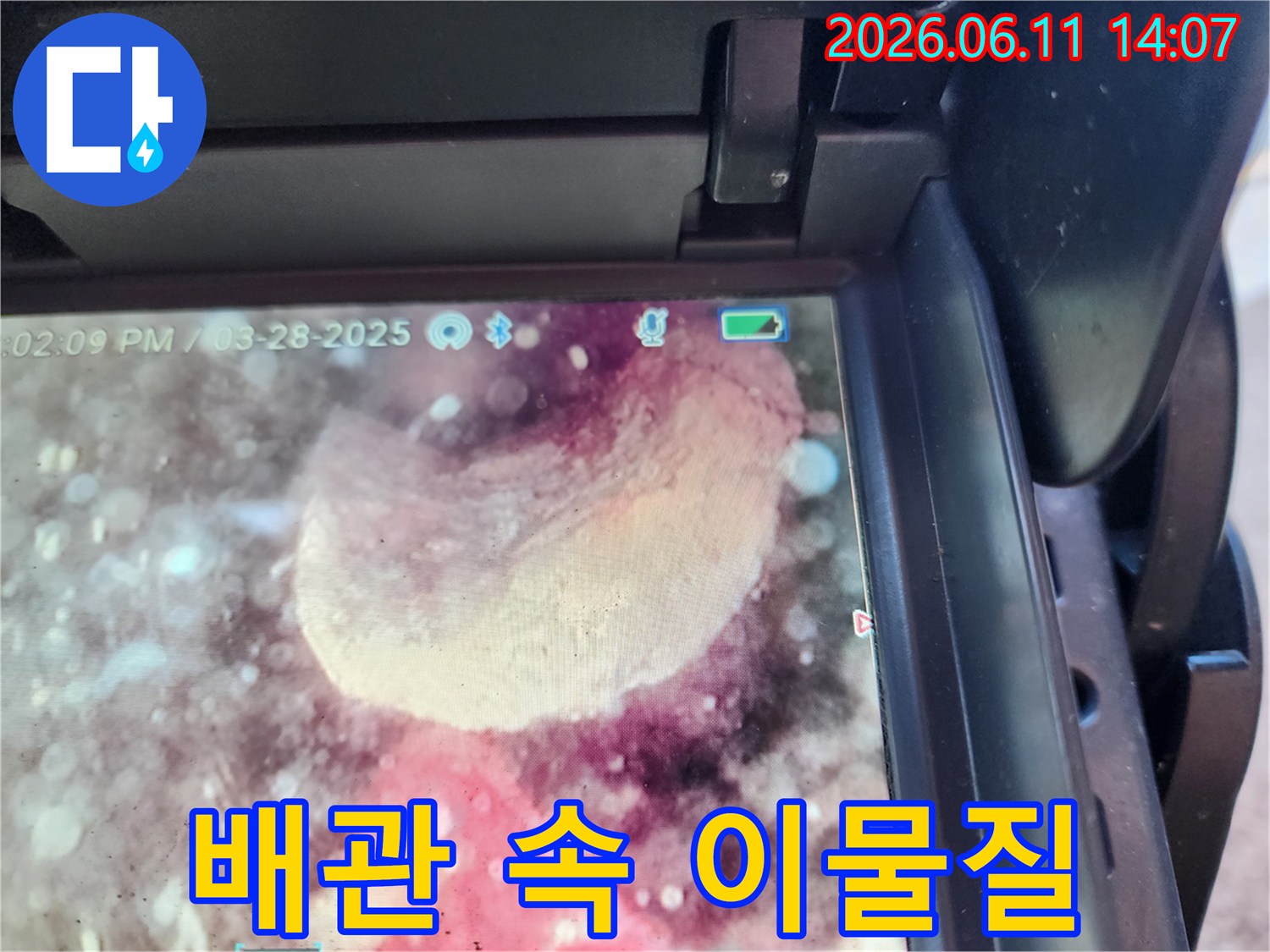 하수구 배관 내부에 쌓여있는 하얀색 슬러지 덩어리