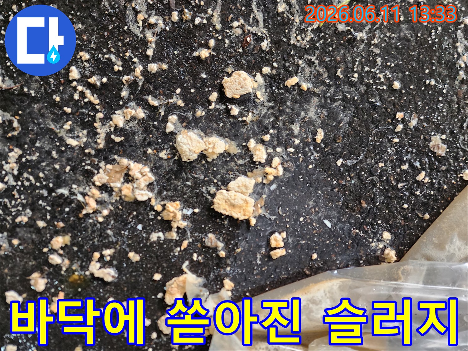 주차장 바닥에 하얗게 흩뿌려진 오수 슬러지 덩어리들