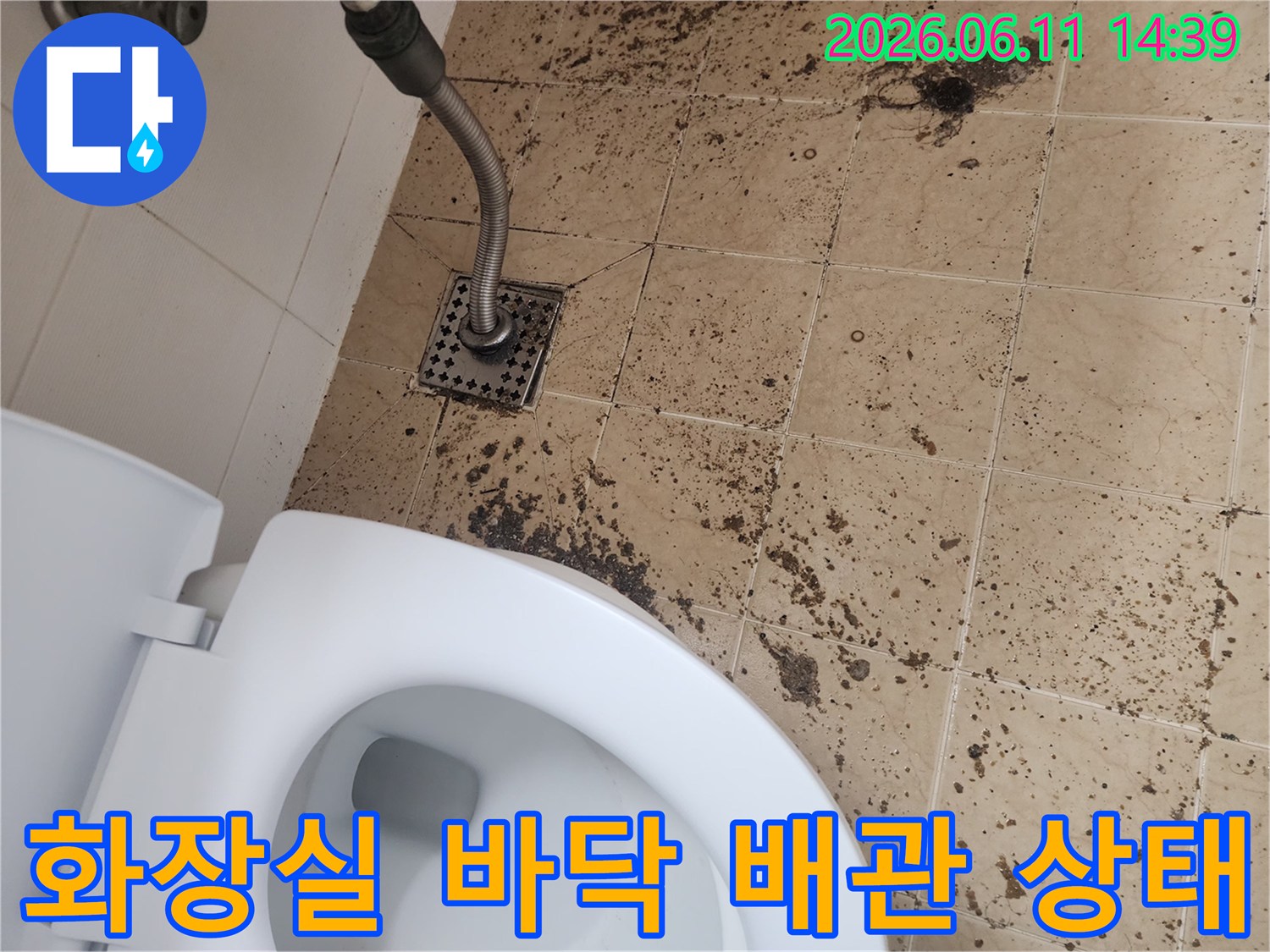 남양주 금곡동 화장실-바닥 타일 주변의 오염된 배관 입구 모습