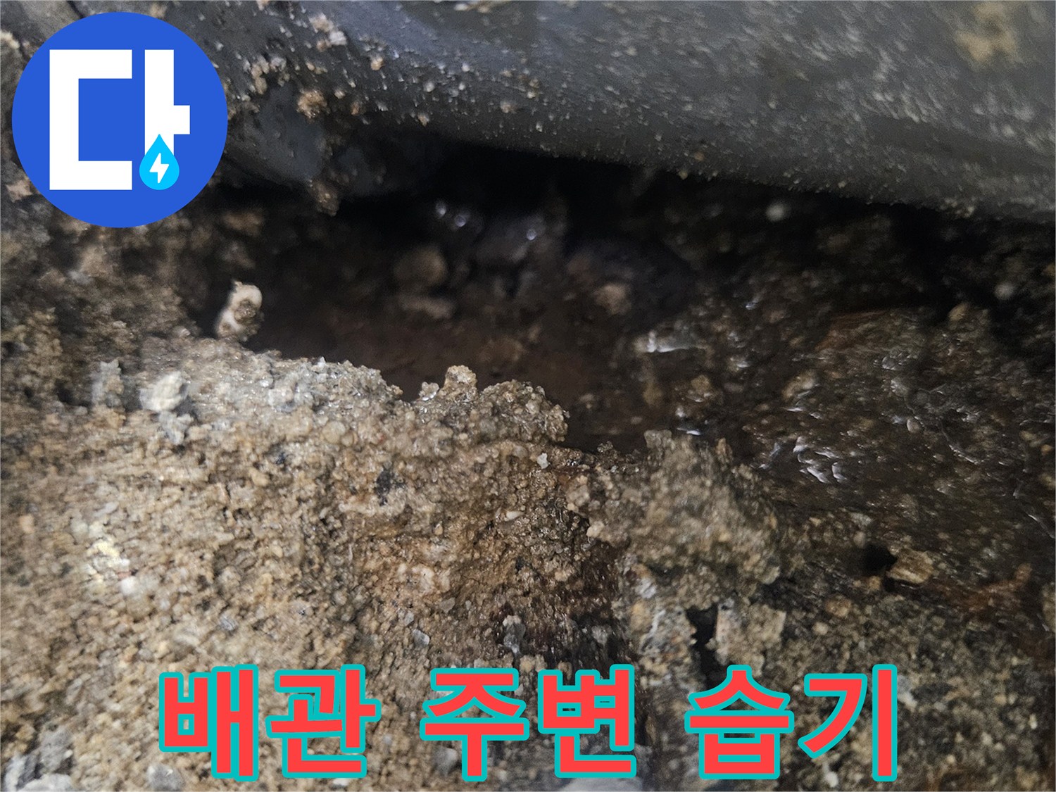 축축하게-젖은-흙과-노출된-하수구-배관