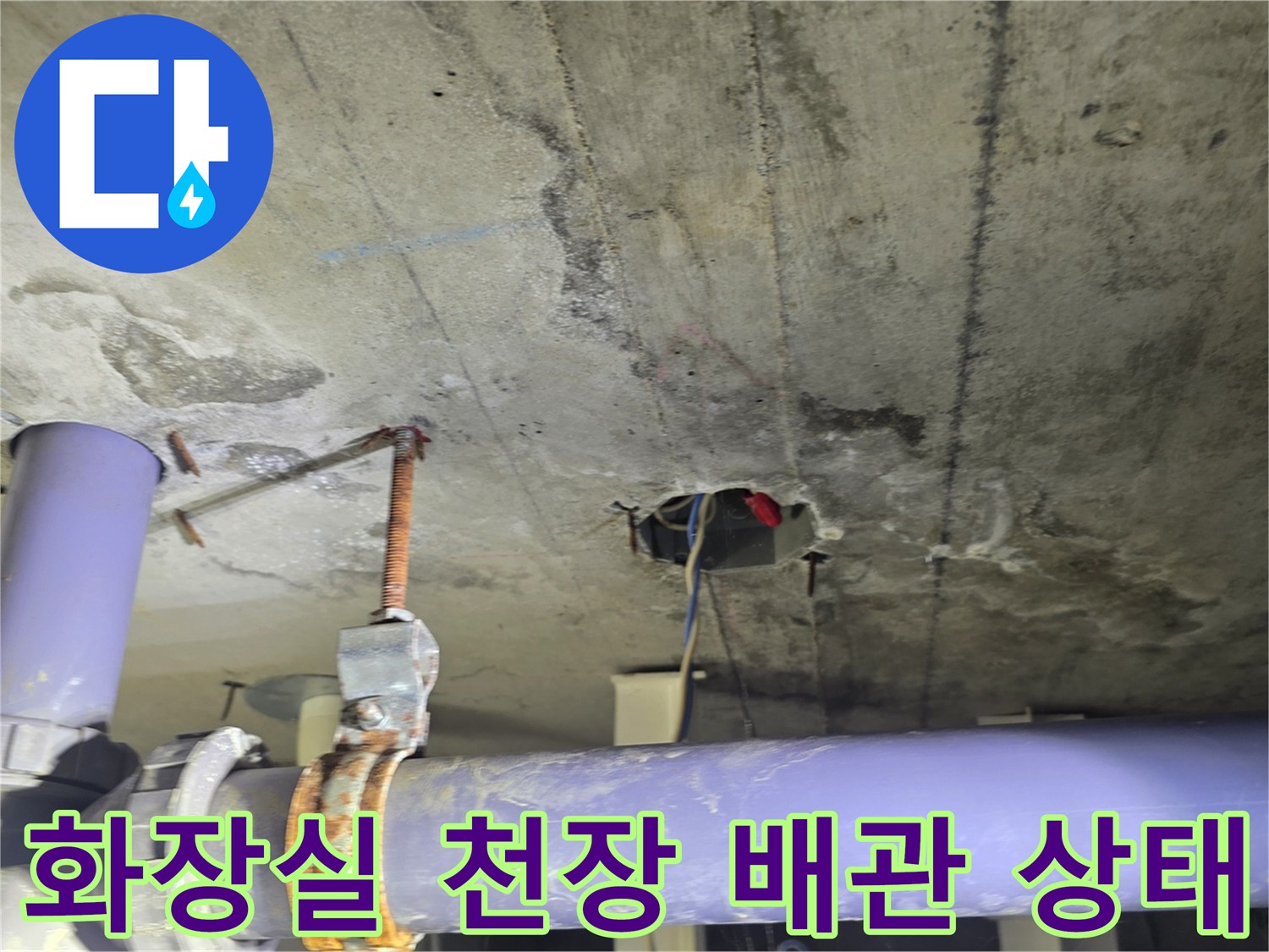 화성 향남 아파트 화장실 천장의 보라색 배관과 콘크리트 슬래브 모습