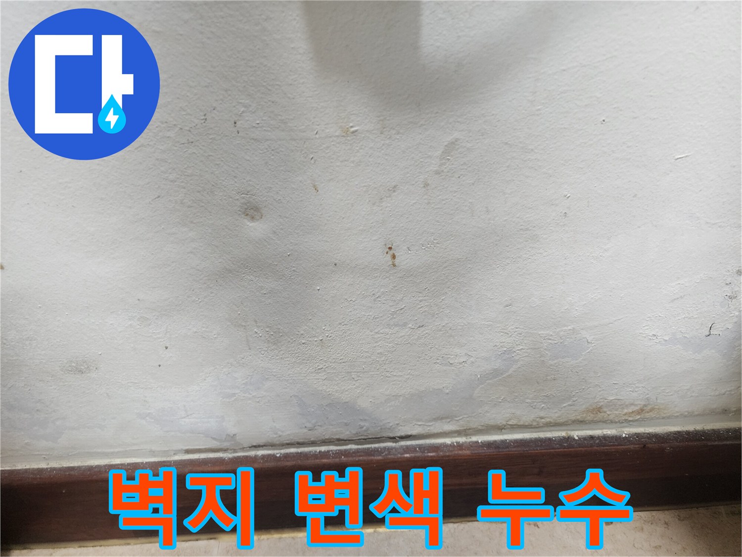 주택-벽지-변색-누수-원인-규명-필요