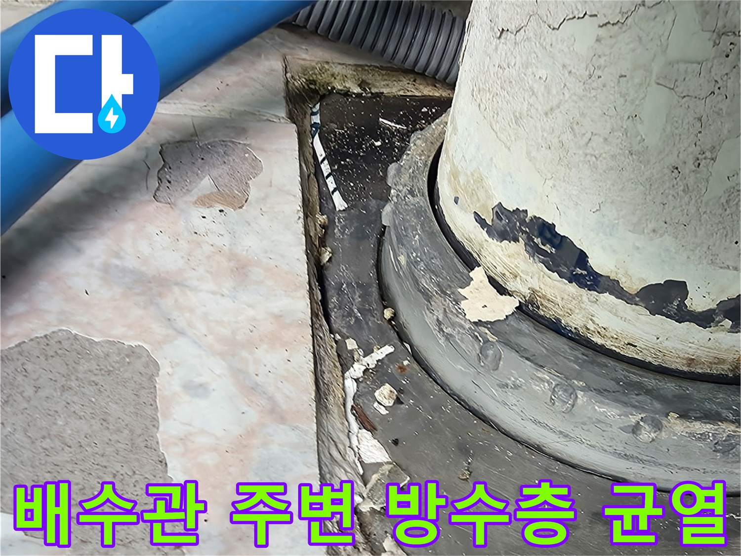 배수관-주변-타일-사이-방수층-탈락-상태
