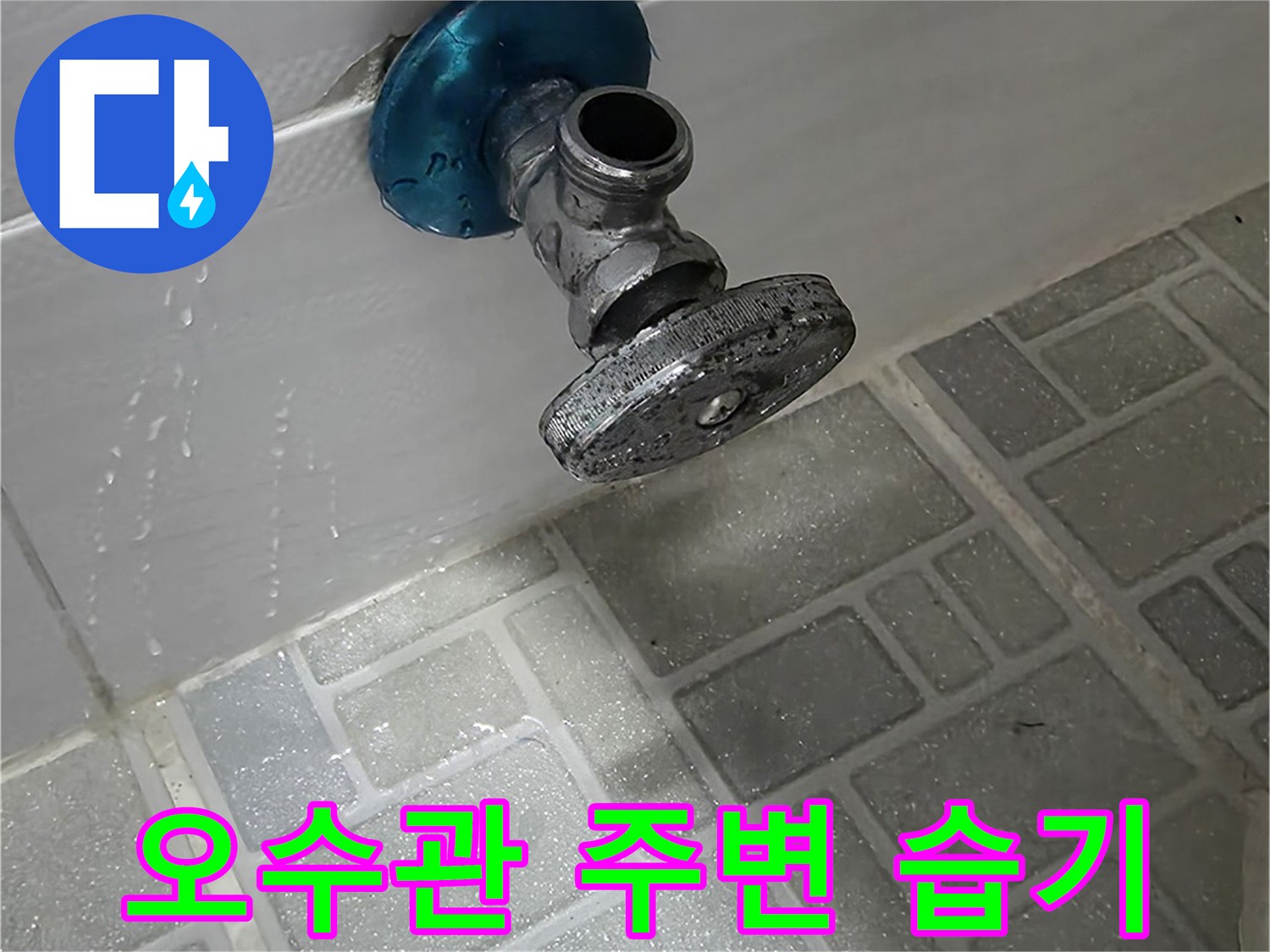 일산서구-화장실-오수관-주변-젖은-상태